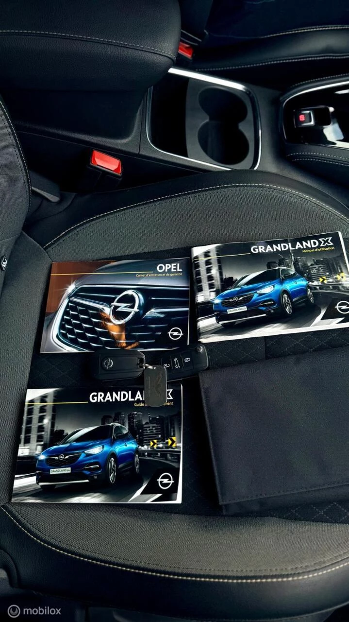 Hoofdafbeelding Opel Grandland X