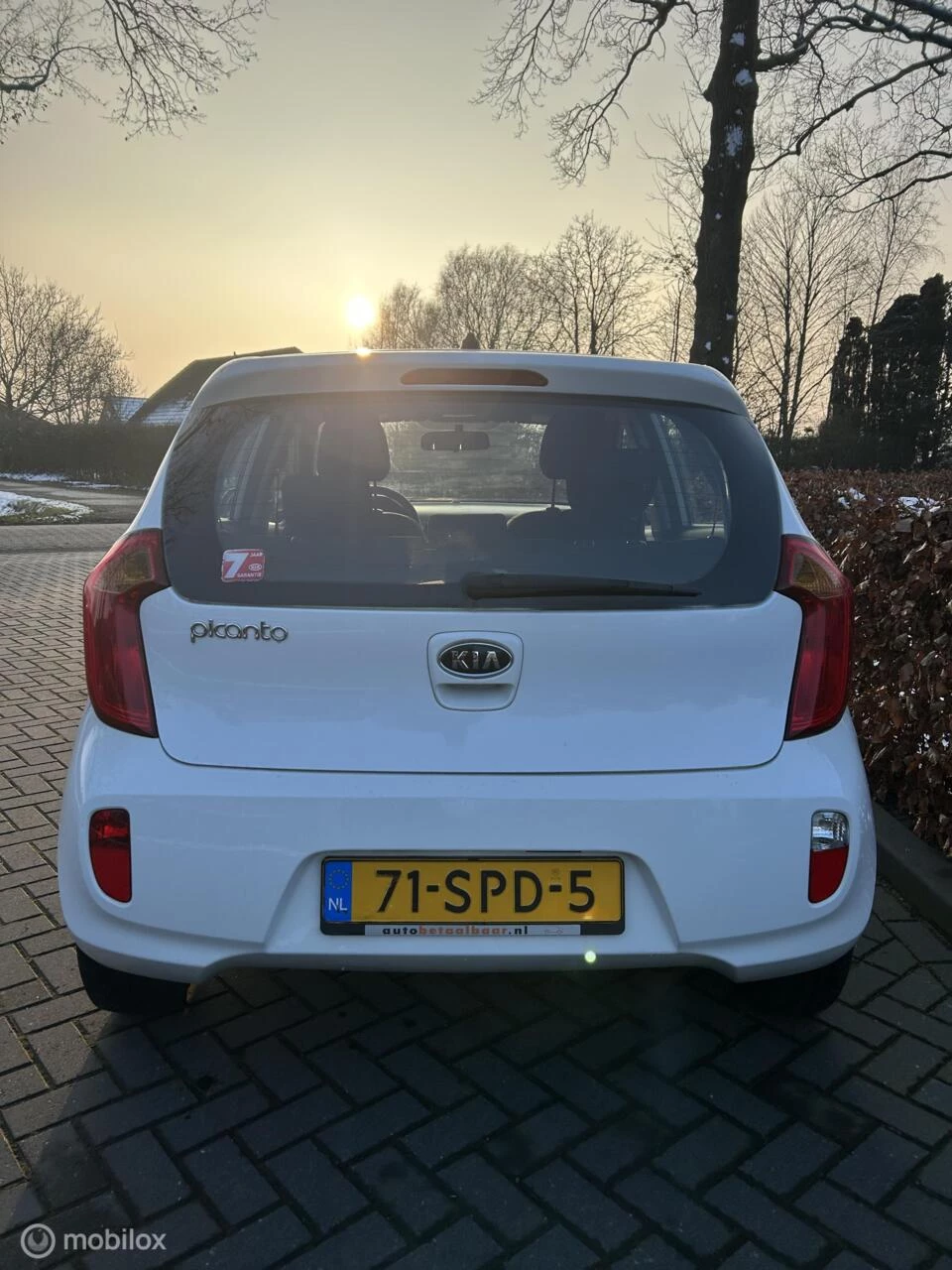 Hoofdafbeelding Kia Picanto