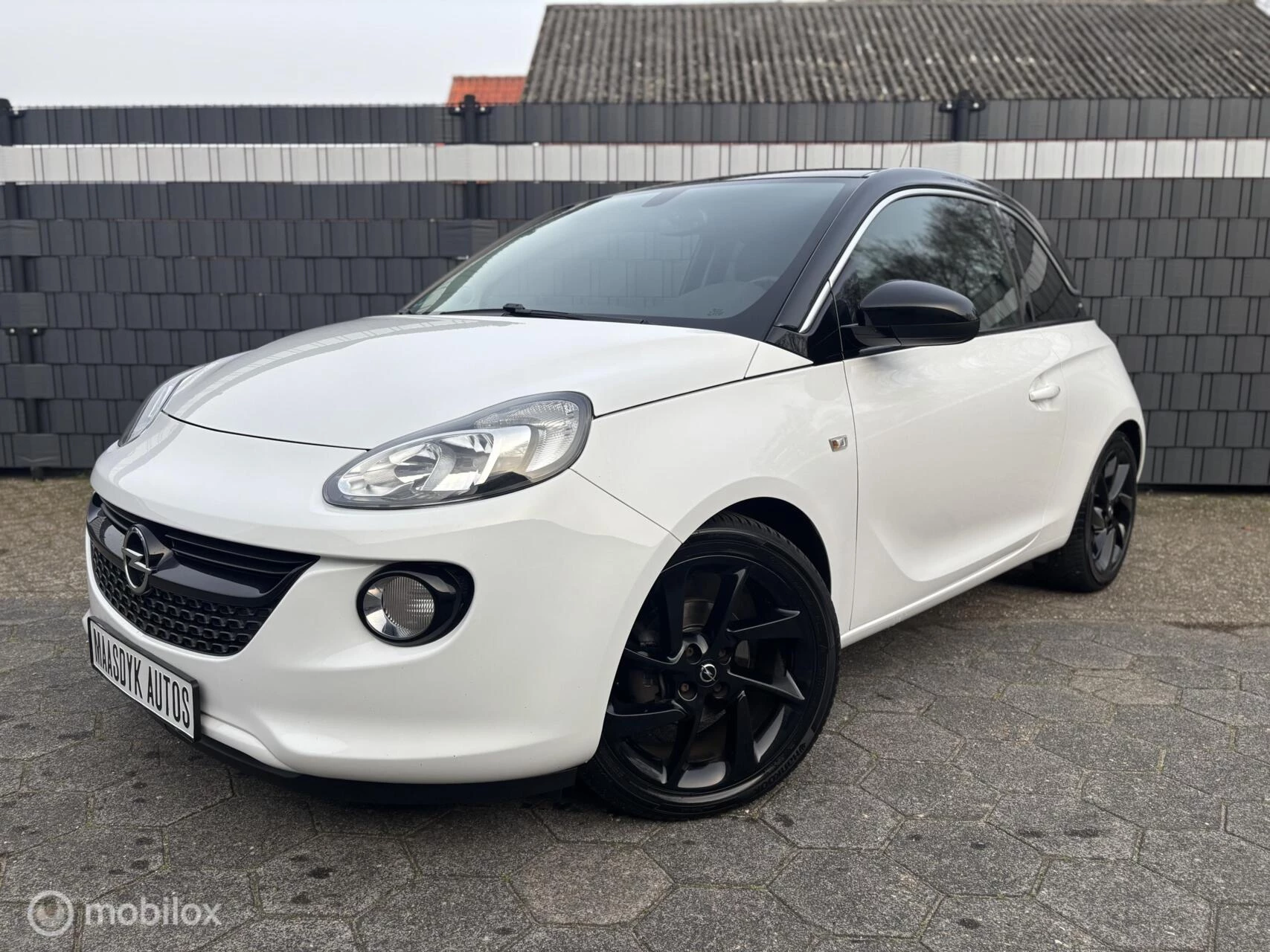 Hoofdafbeelding Opel ADAM