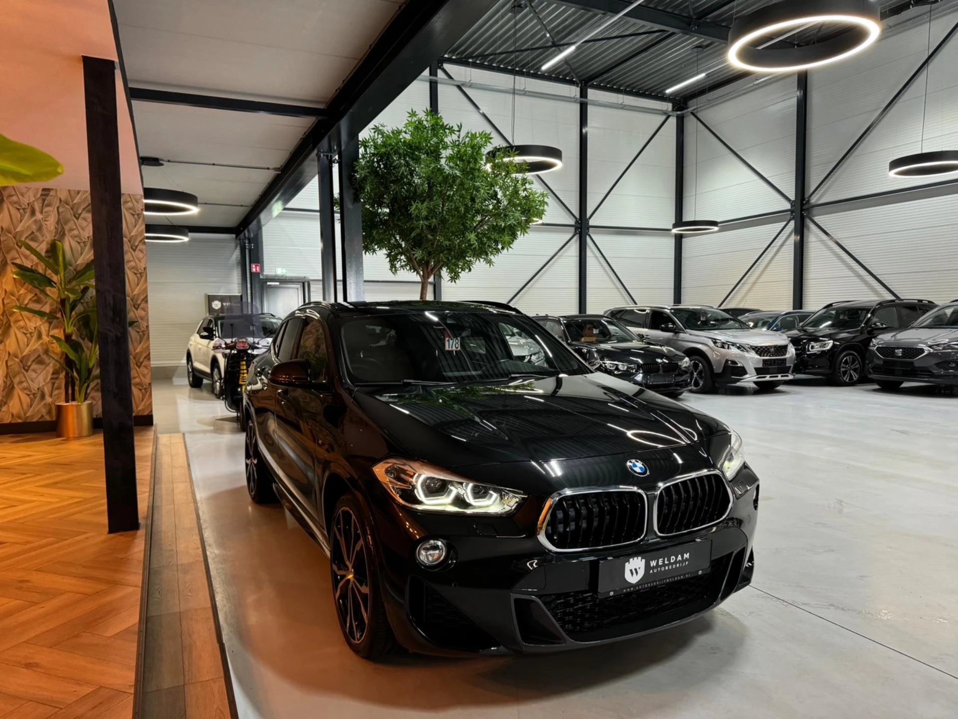 Hoofdafbeelding BMW X2
