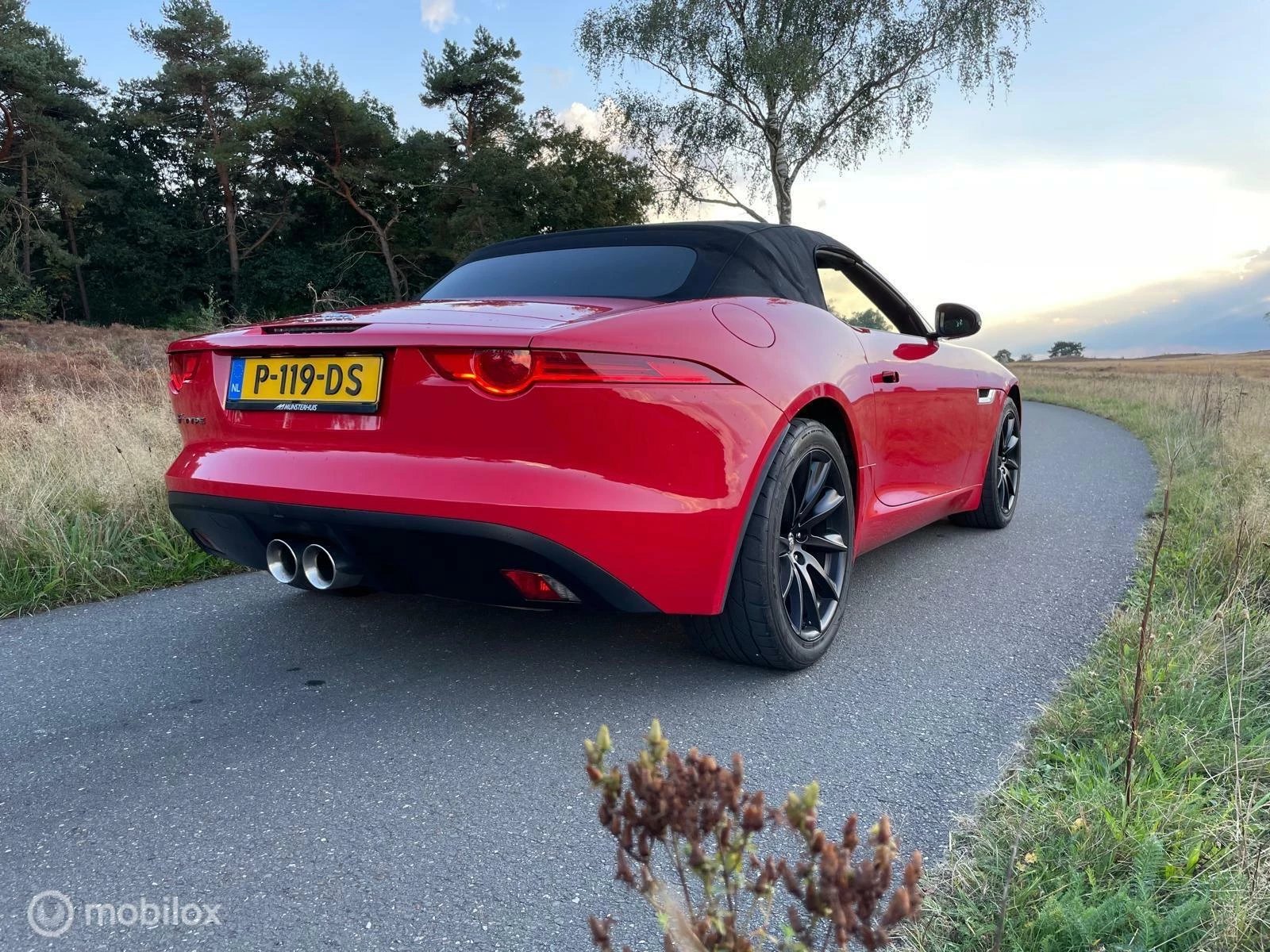 Hoofdafbeelding Jaguar F-Type