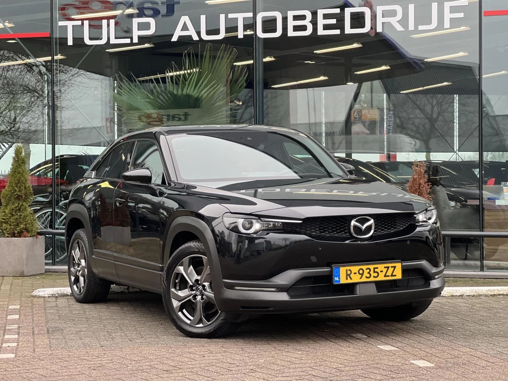 Hoofdafbeelding Mazda MX-30