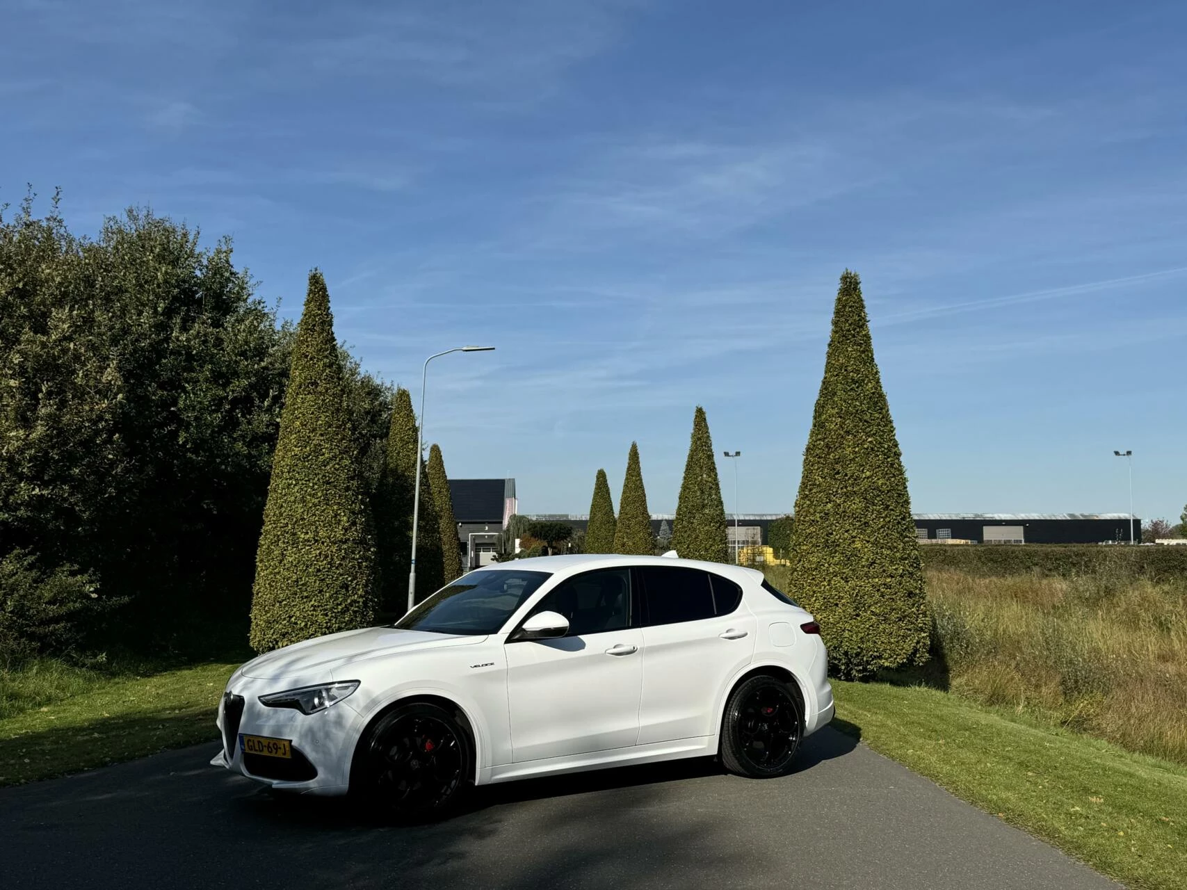 Hoofdafbeelding Alfa Romeo Stelvio