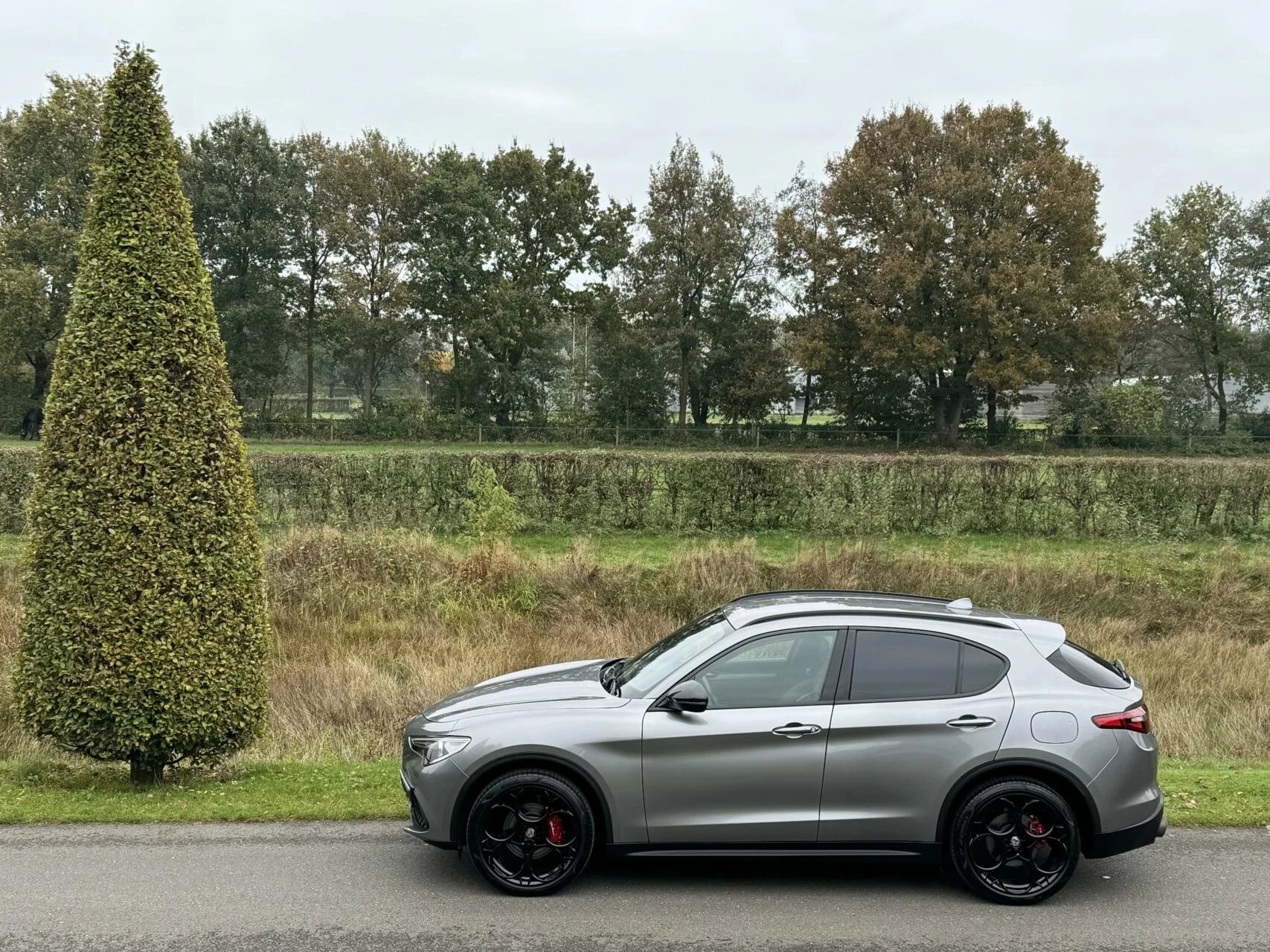 Hoofdafbeelding Alfa Romeo Stelvio