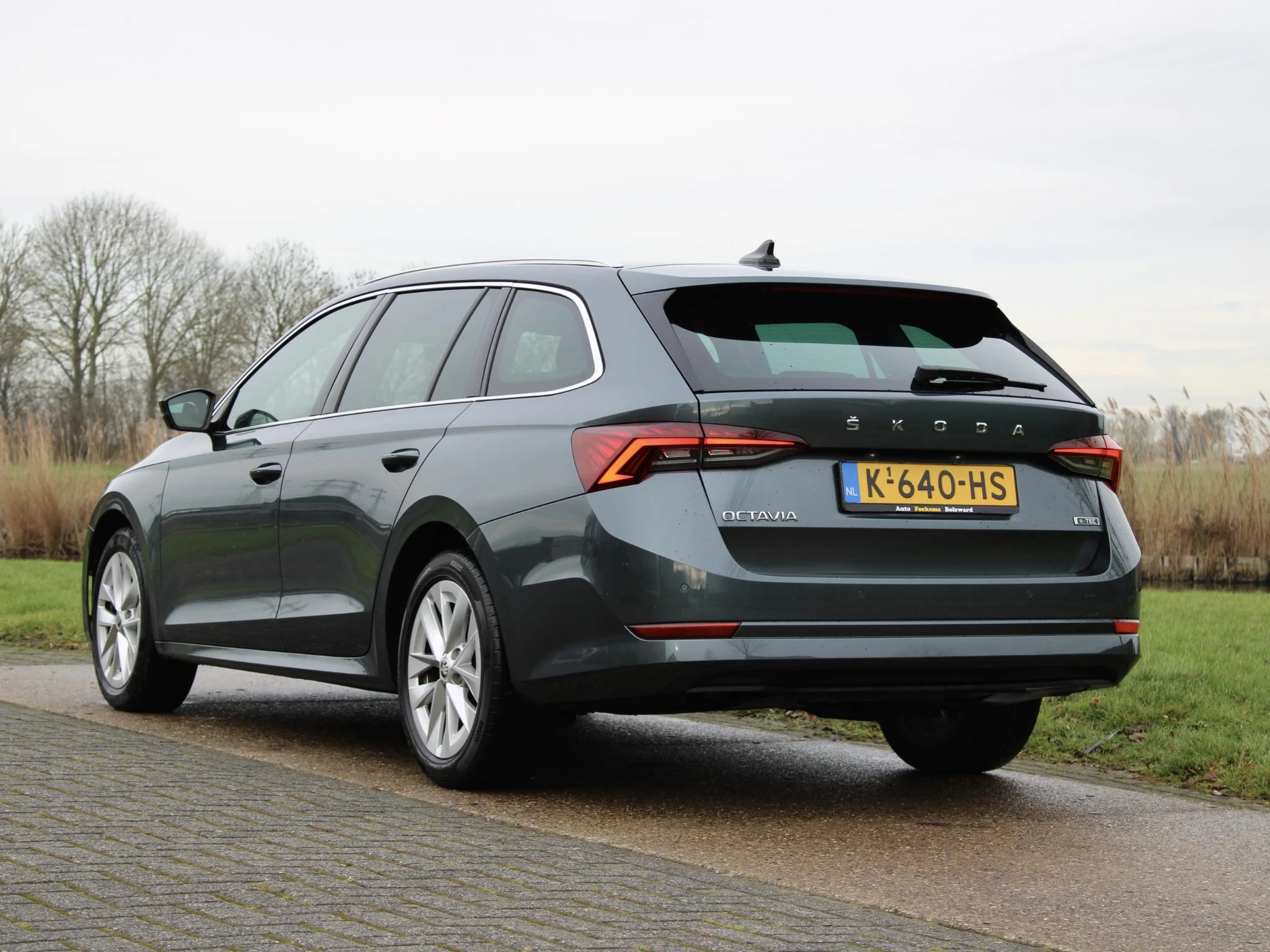 Hoofdafbeelding Škoda Octavia