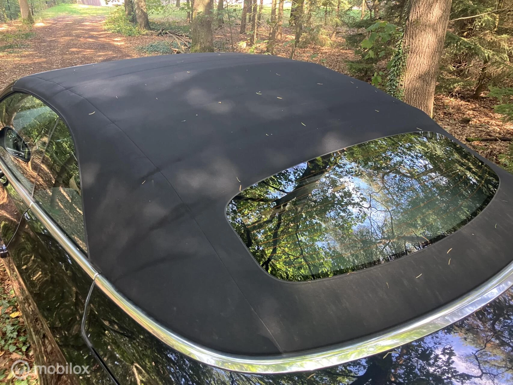 Hoofdafbeelding Opel Cascada