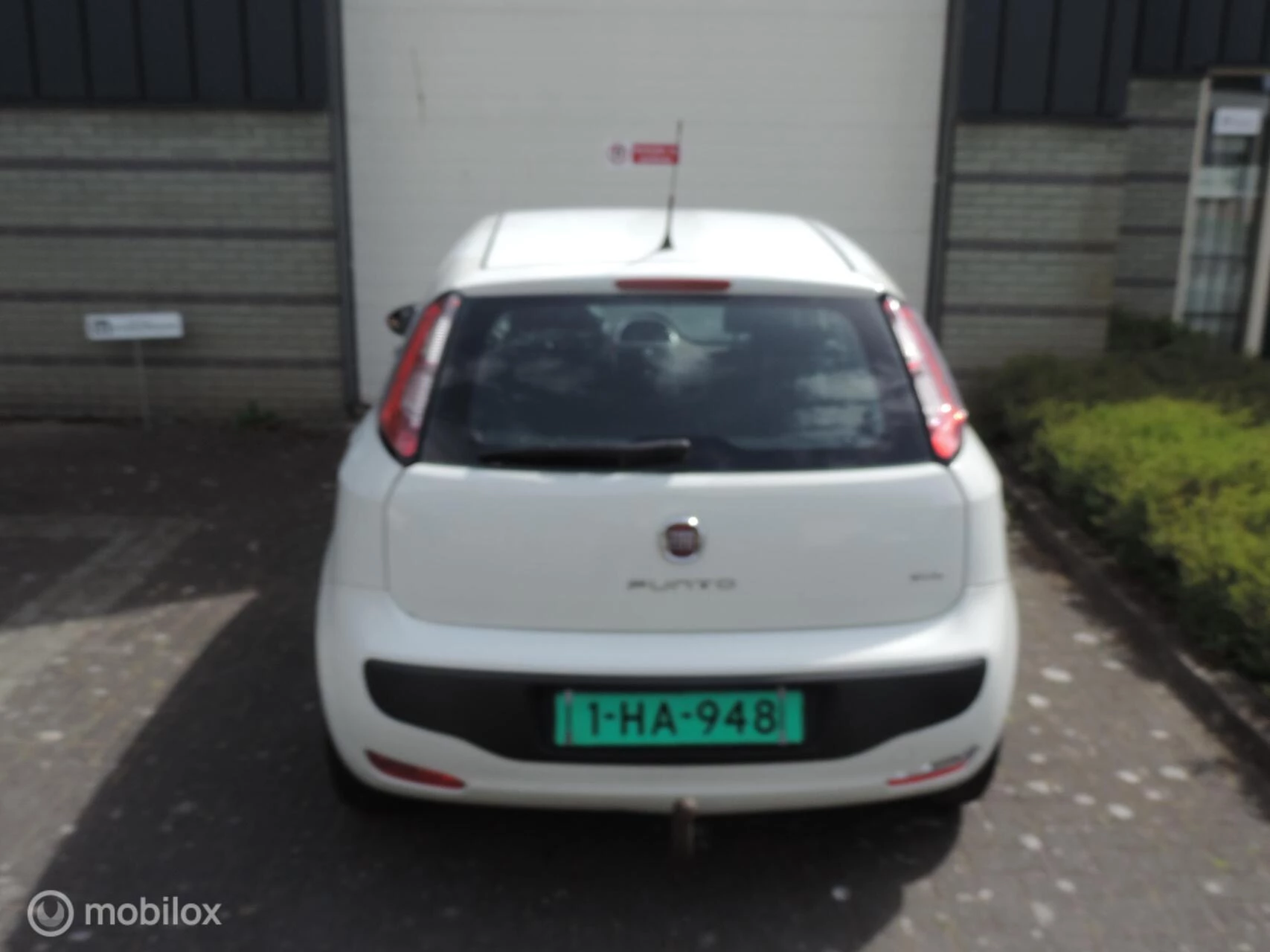 Hoofdafbeelding Fiat Punto
