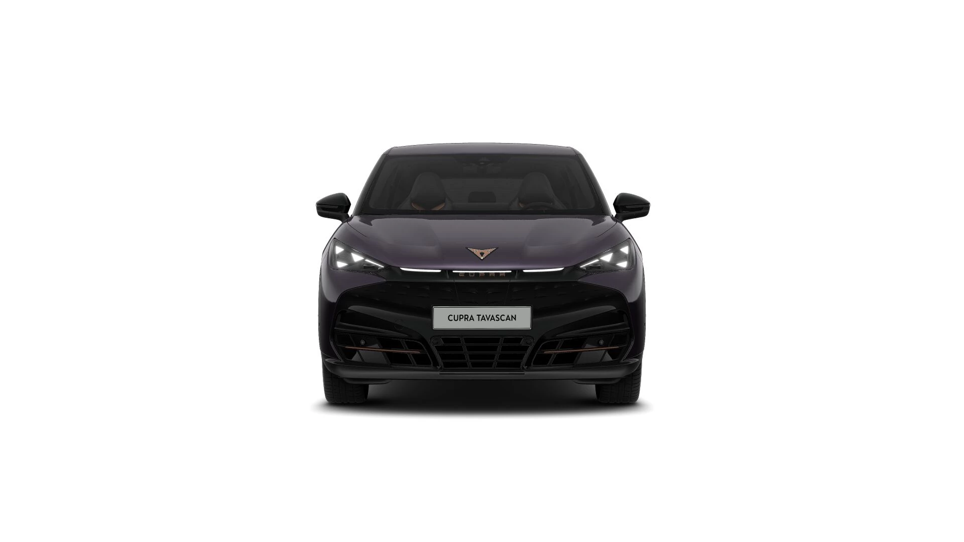 Hoofdafbeelding CUPRA Tavascan