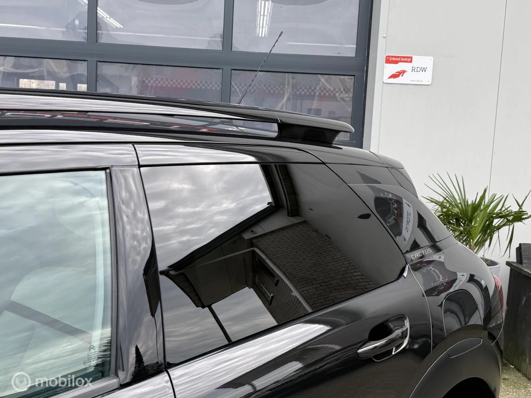 Hoofdafbeelding Citroën C4 Cactus