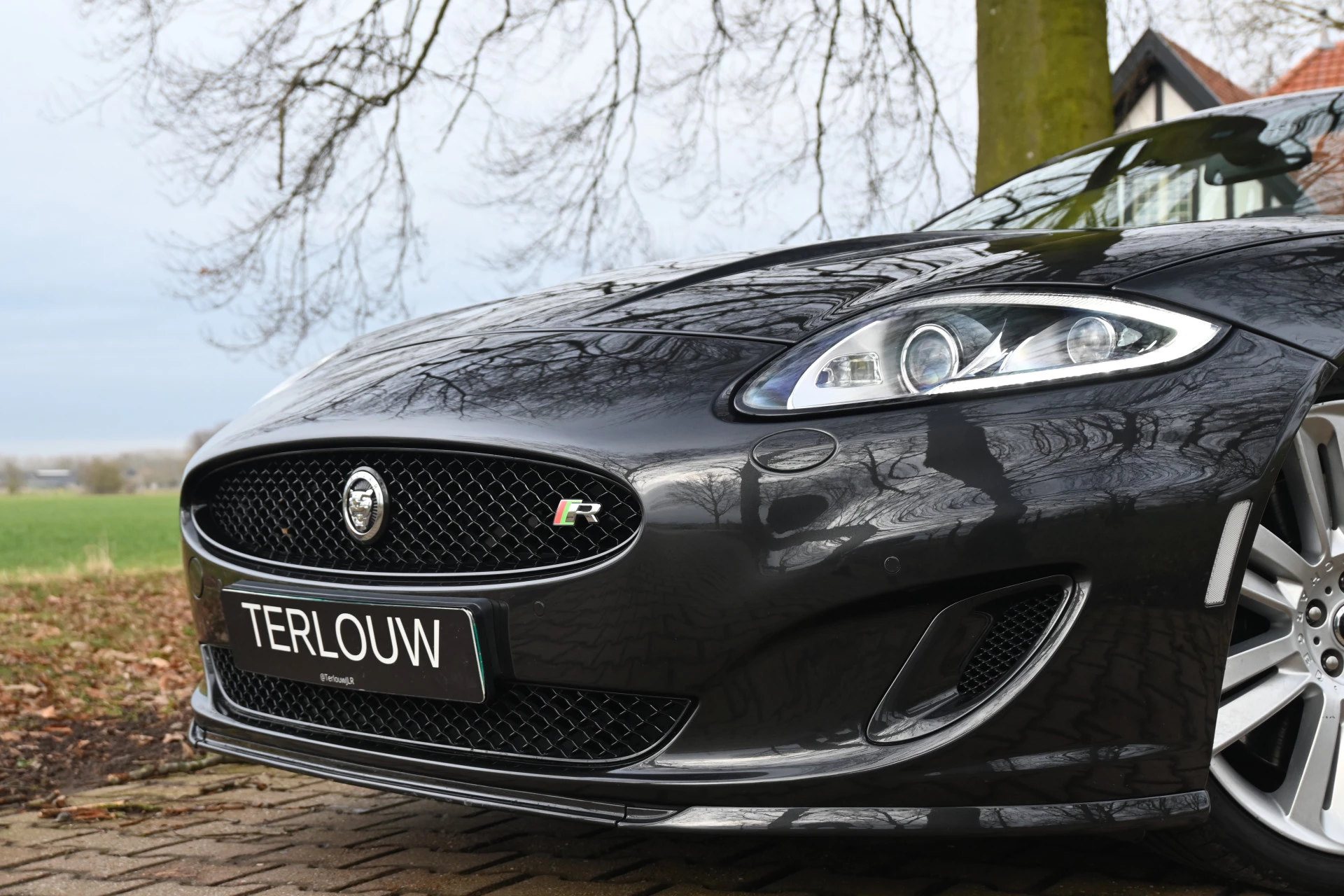 Hoofdafbeelding Jaguar XK