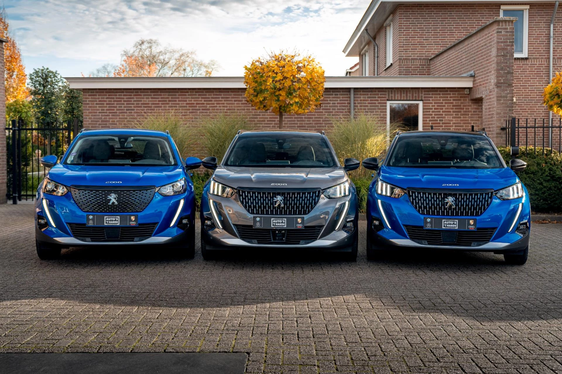 Hoofdafbeelding Peugeot 2008