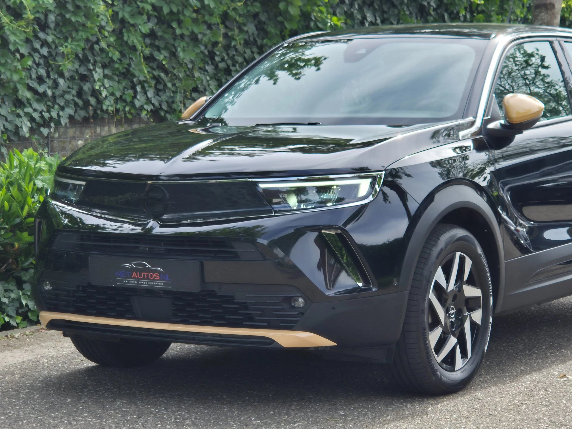 Hoofdafbeelding Opel Mokka-e