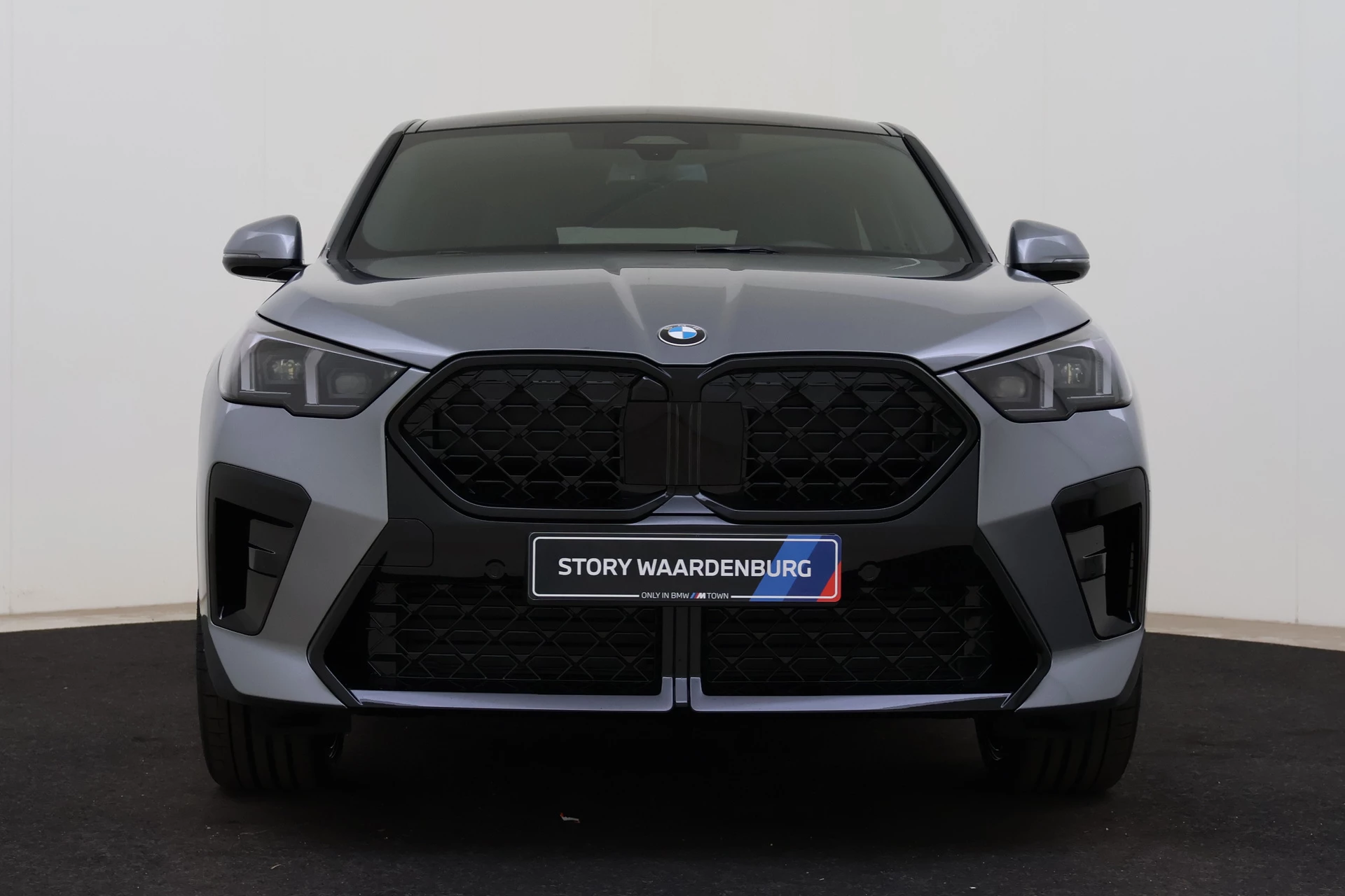Hoofdafbeelding BMW X2