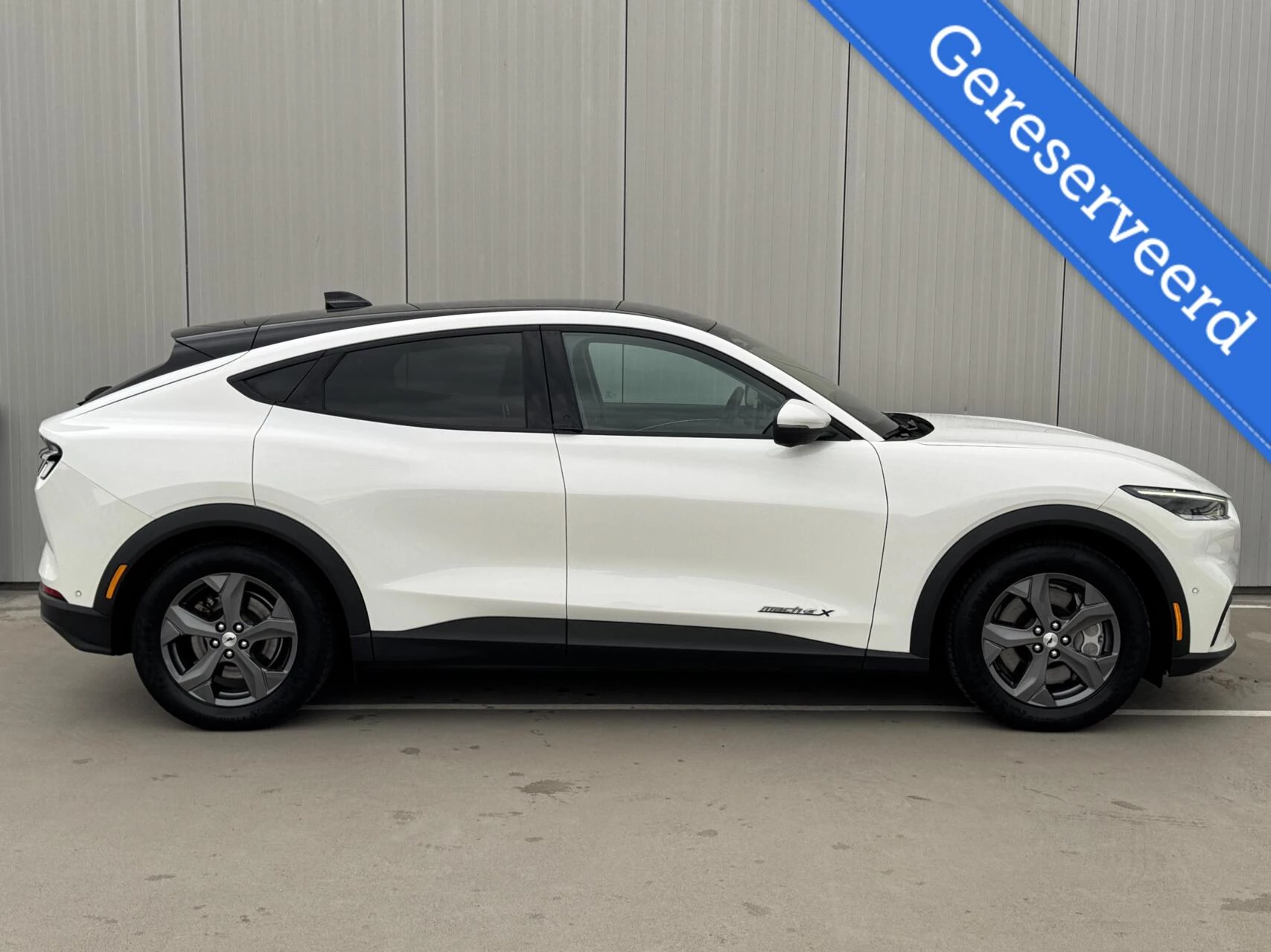 Hoofdafbeelding Ford Mustang Mach-E