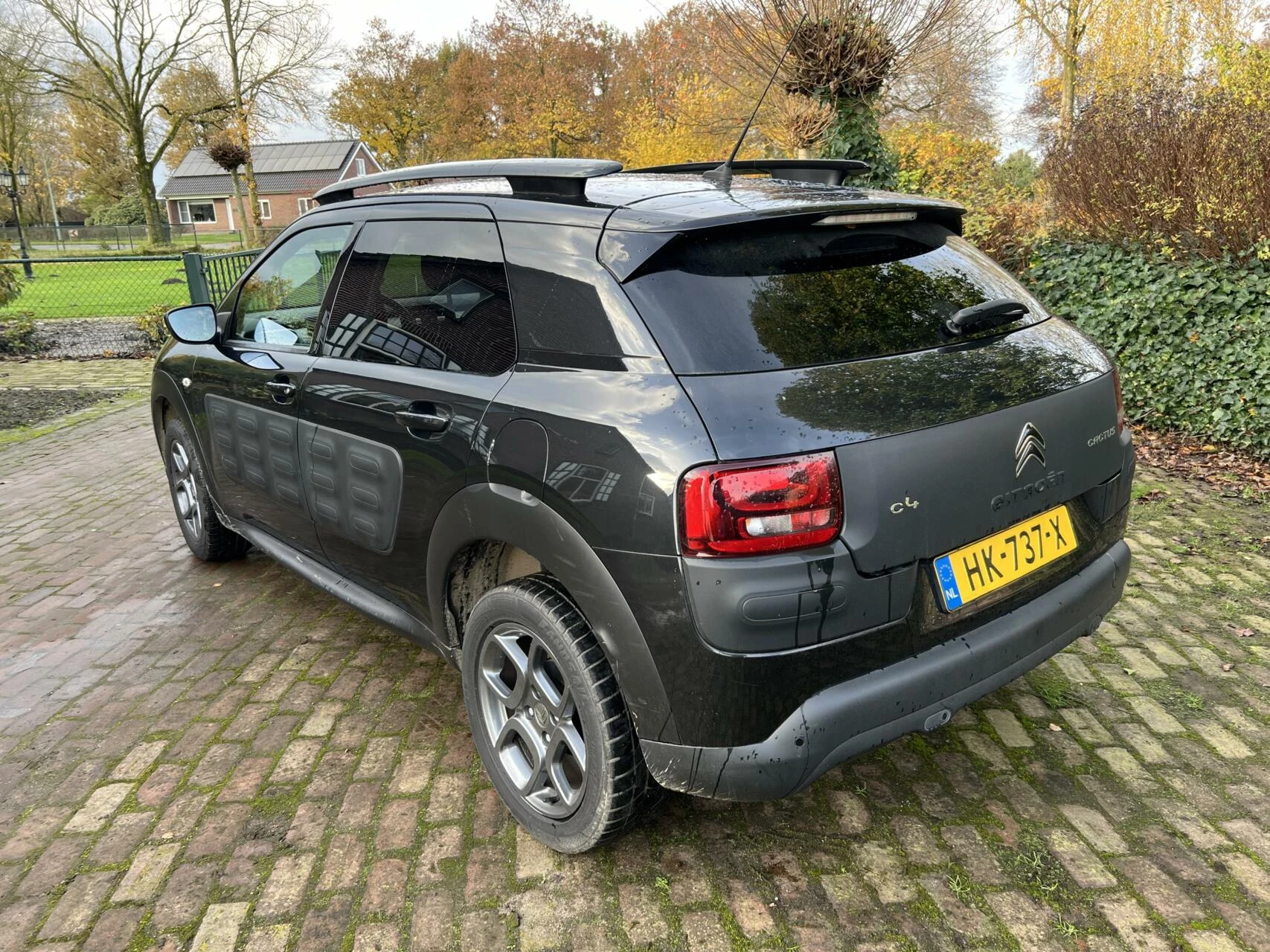 Hoofdafbeelding Citroën C4 Cactus