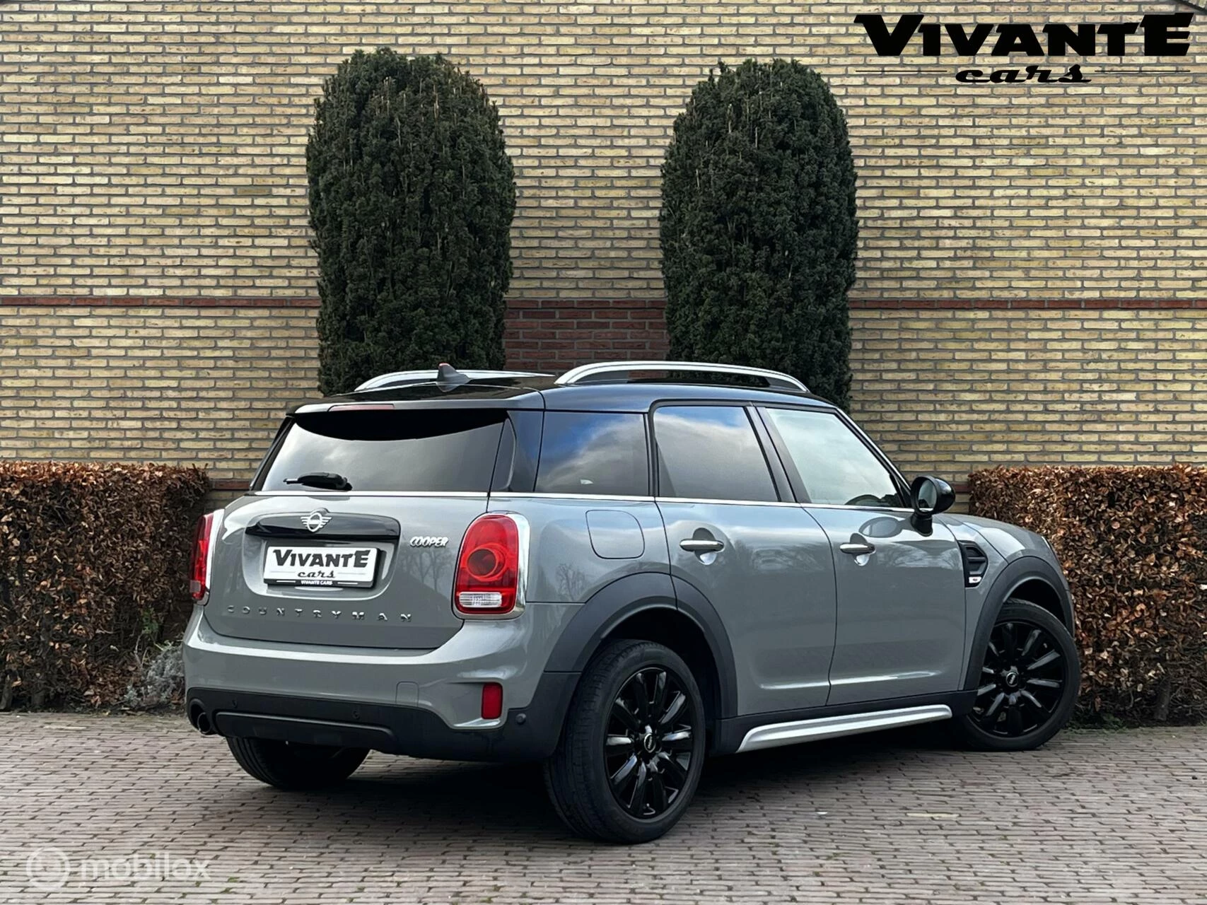 Hoofdafbeelding MINI Countryman