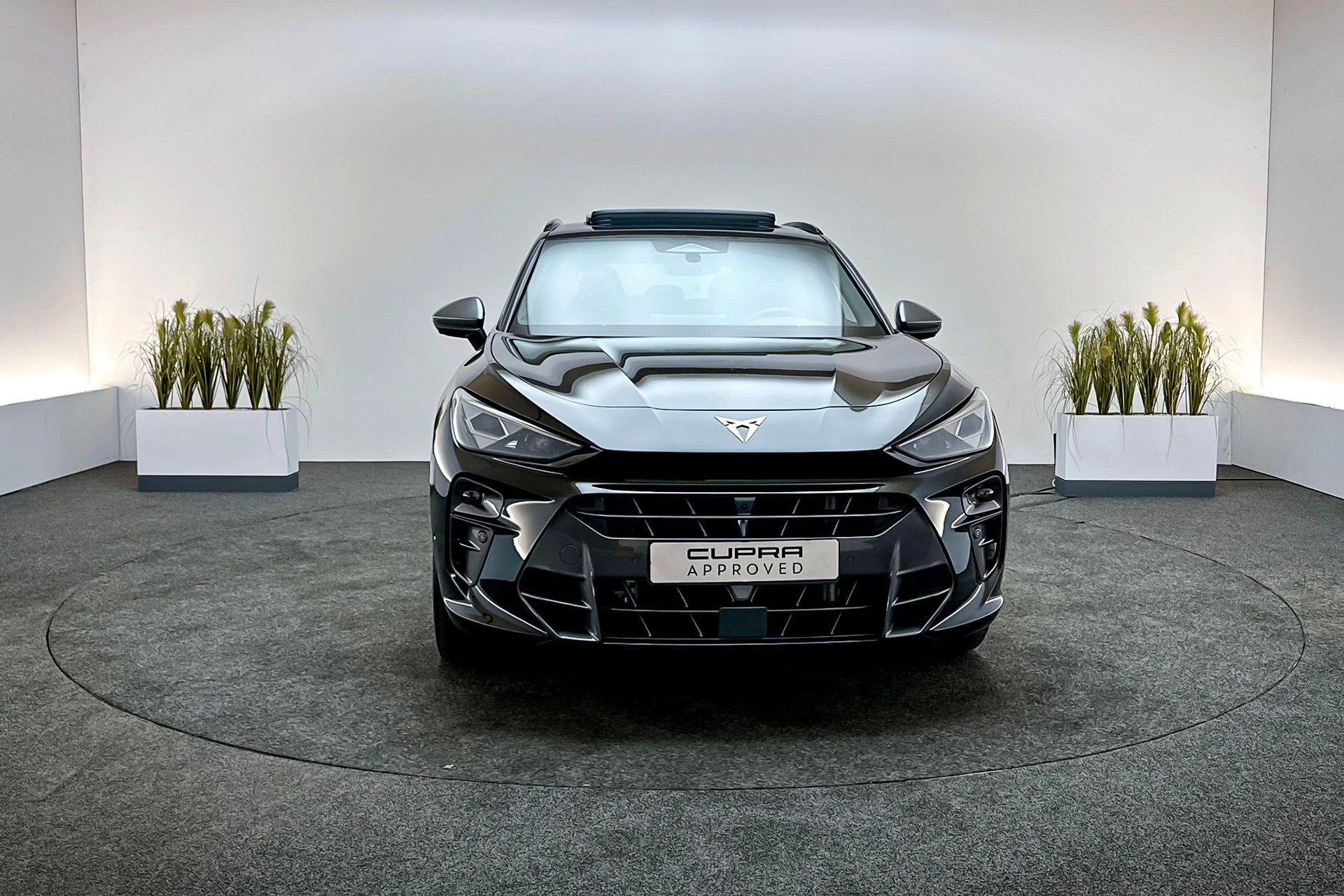 Hoofdafbeelding CUPRA Terramar