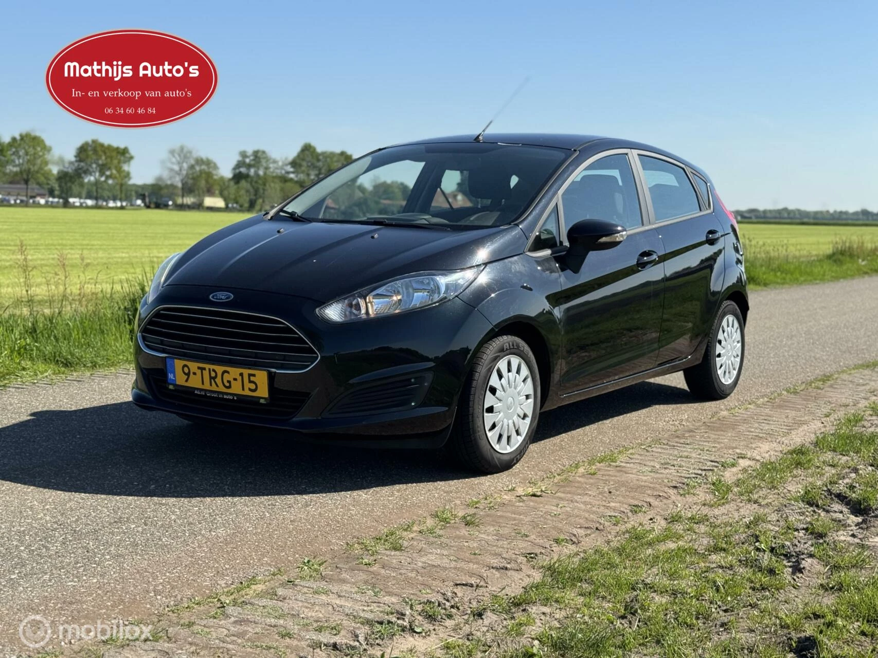 Hoofdafbeelding Ford Fiesta