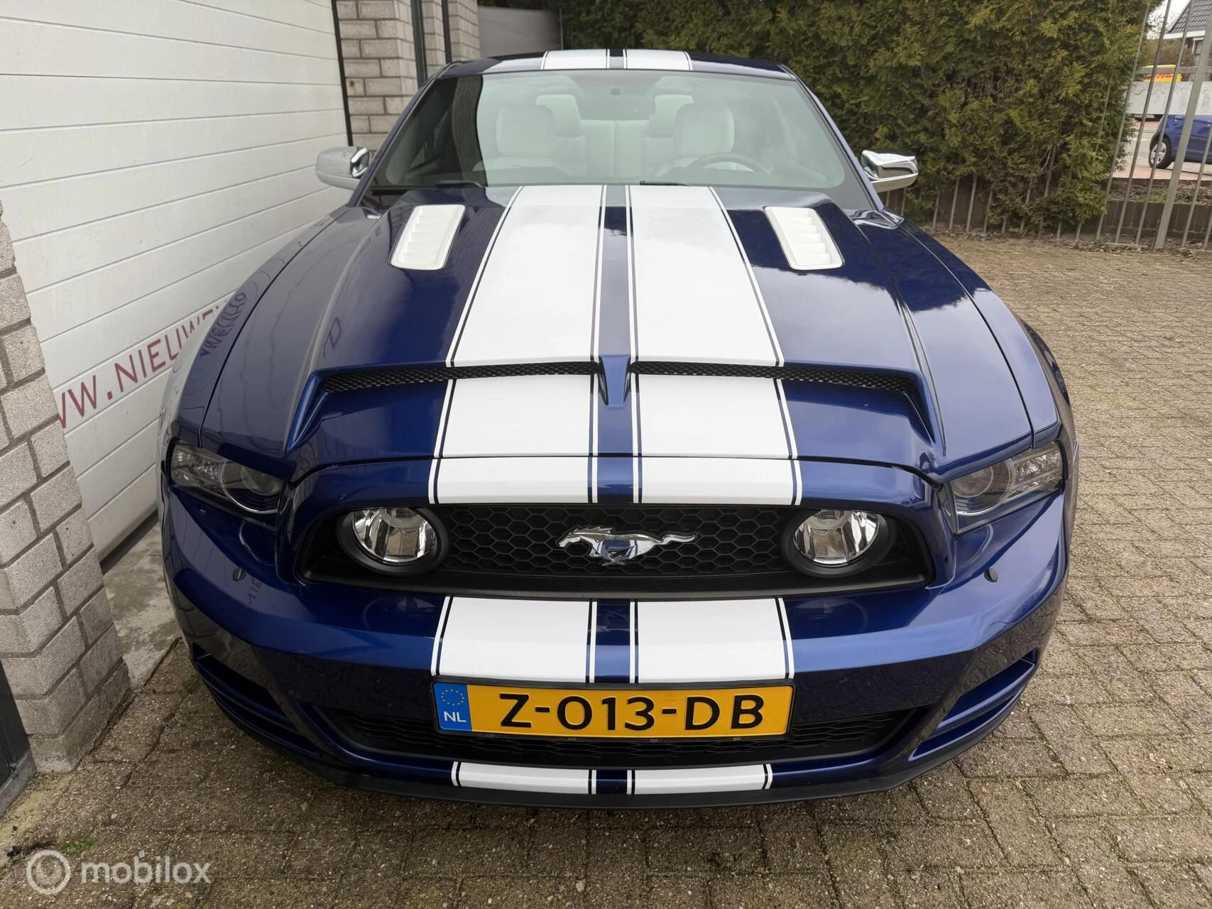 Hoofdafbeelding Ford Mustang