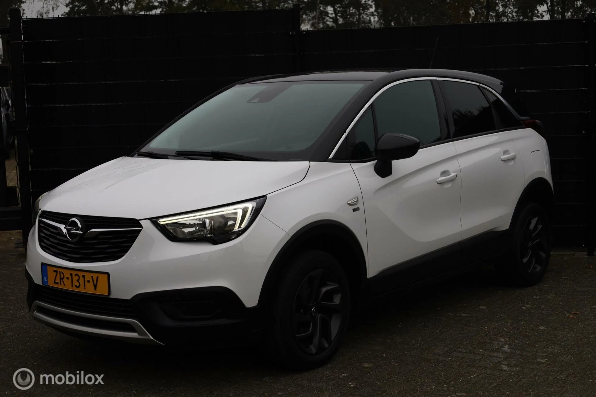 Hoofdafbeelding Opel Crossland X