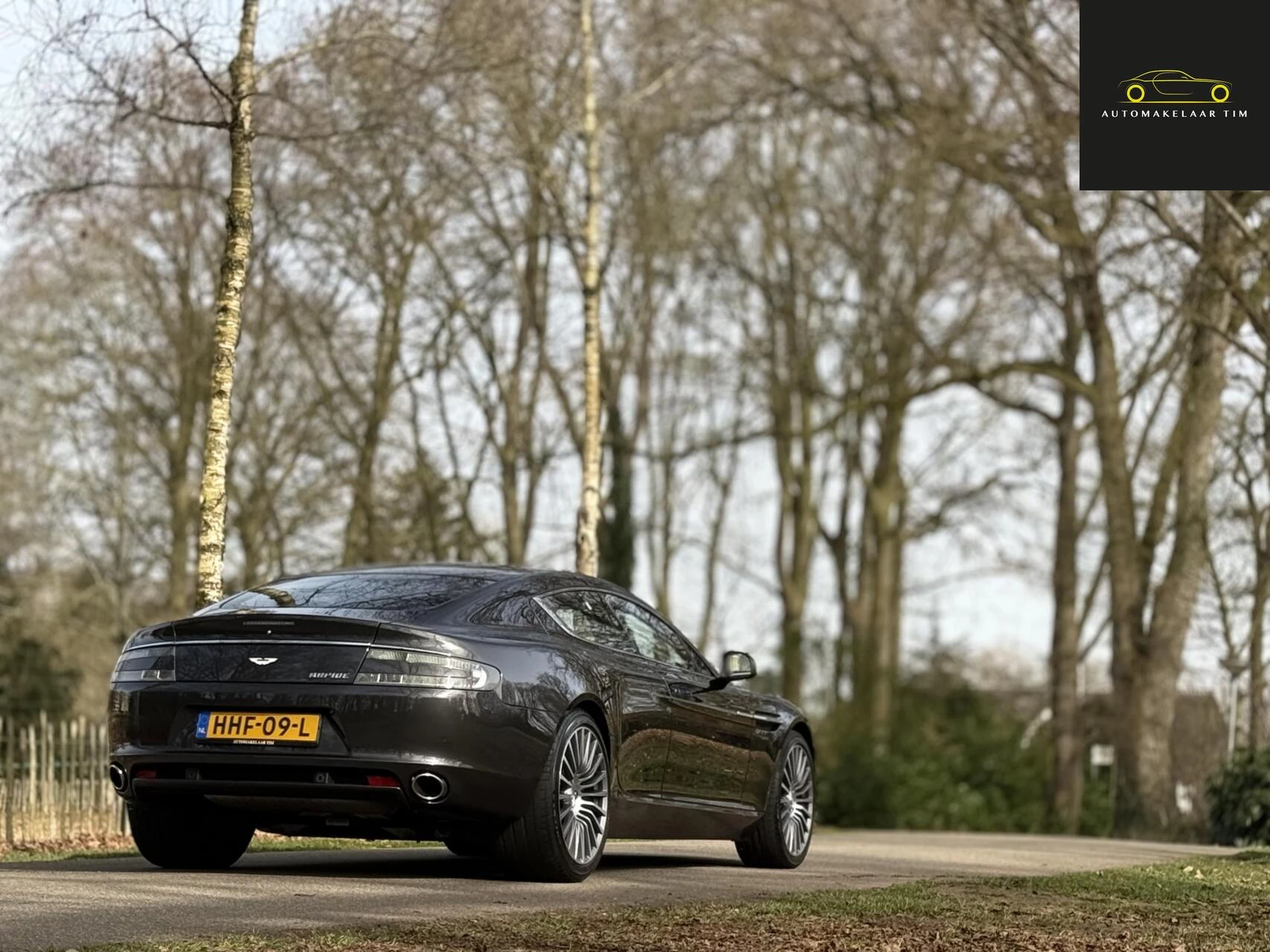 Hoofdafbeelding Aston Martin Rapide