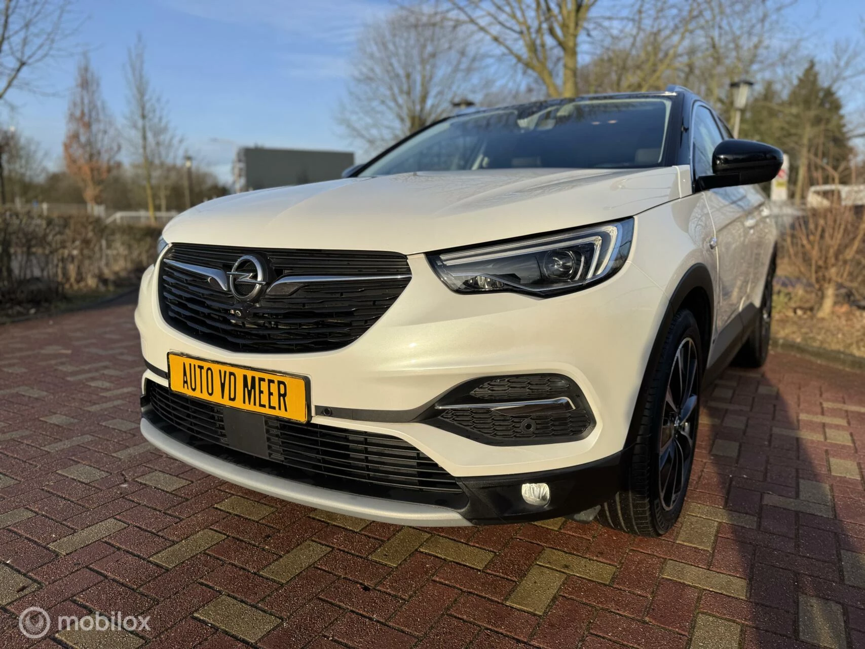 Hoofdafbeelding Opel Grandland X