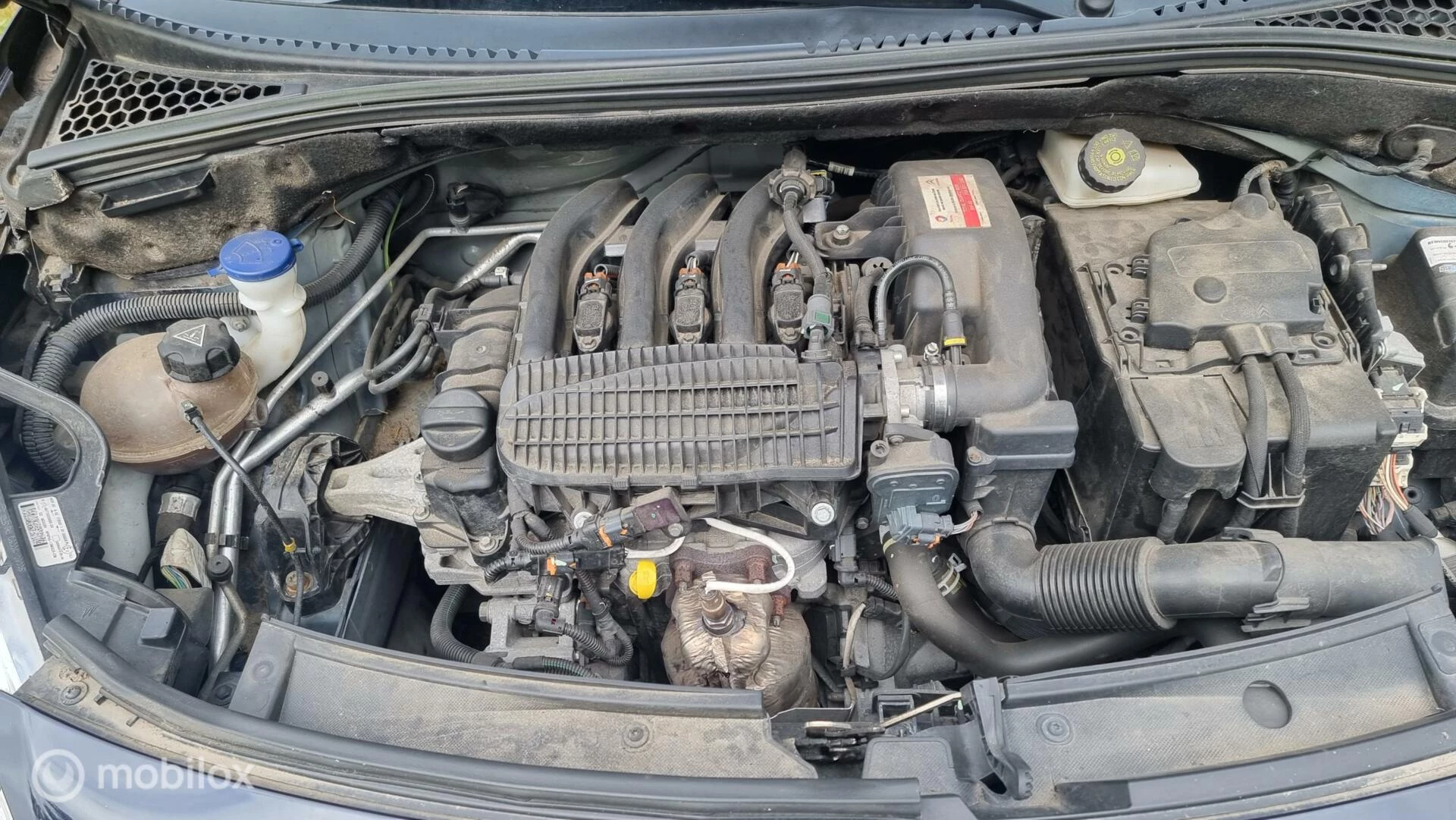 Hoofdafbeelding Citroën C3