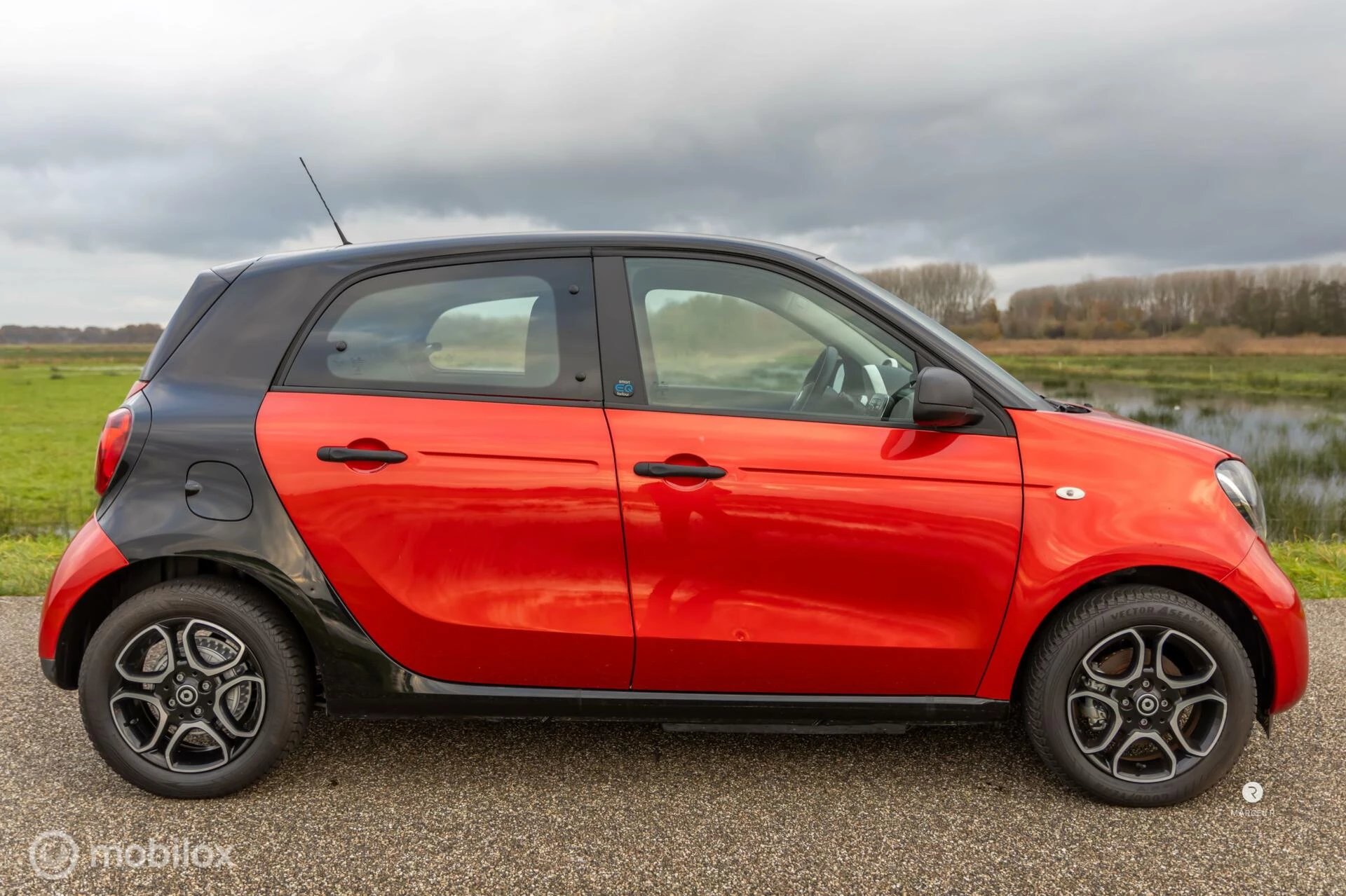 Hoofdafbeelding Smart Forfour