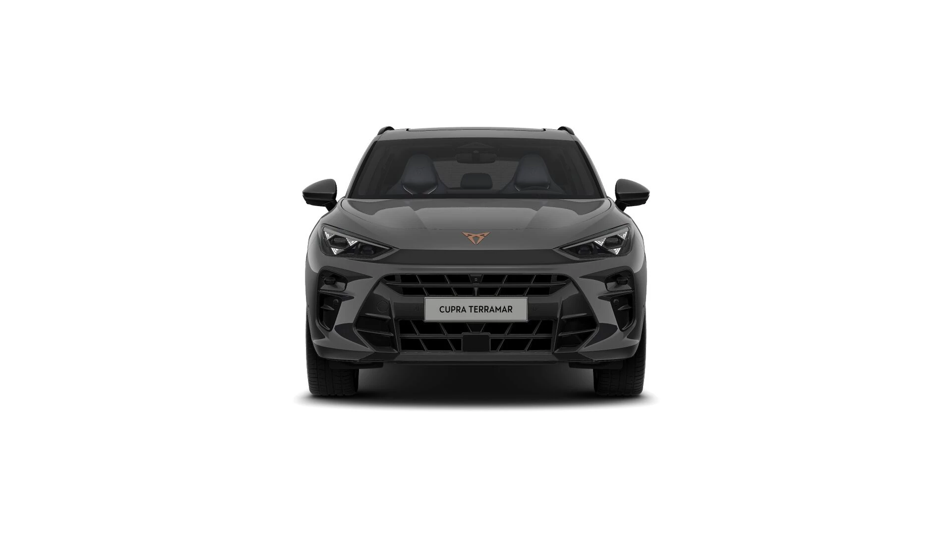 Hoofdafbeelding CUPRA Terramar
