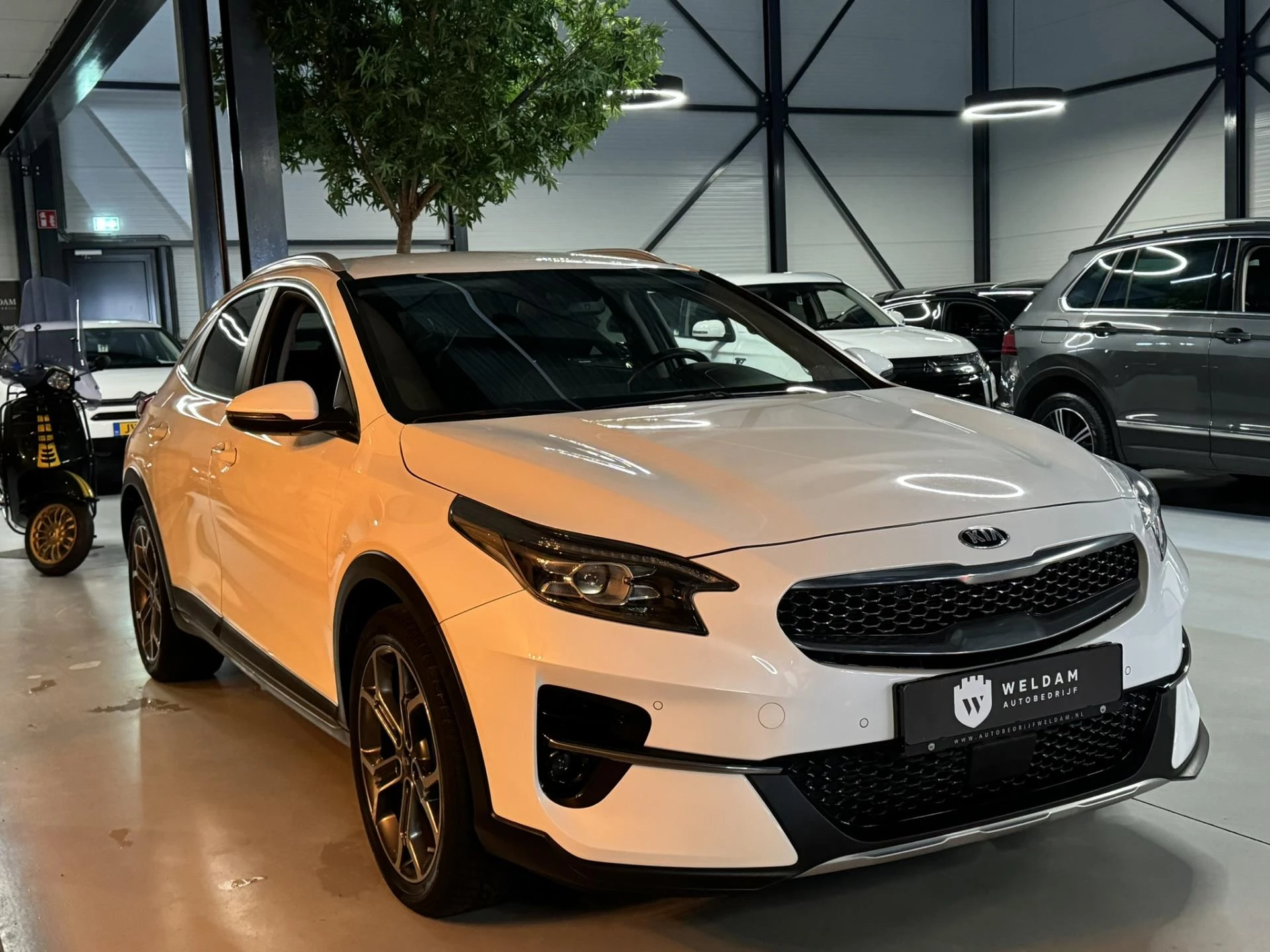 Hoofdafbeelding Kia XCeed