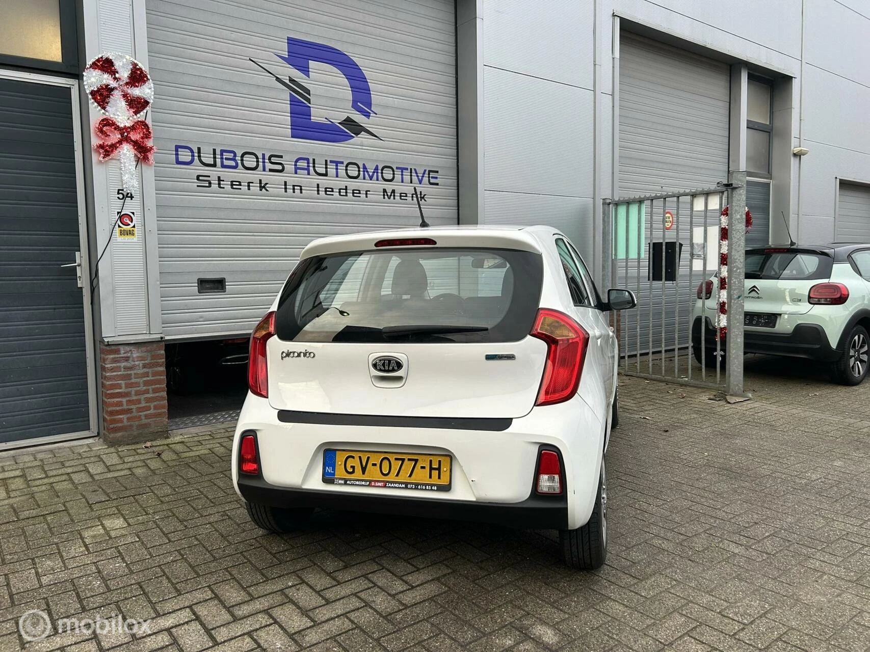 Hoofdafbeelding Kia Picanto