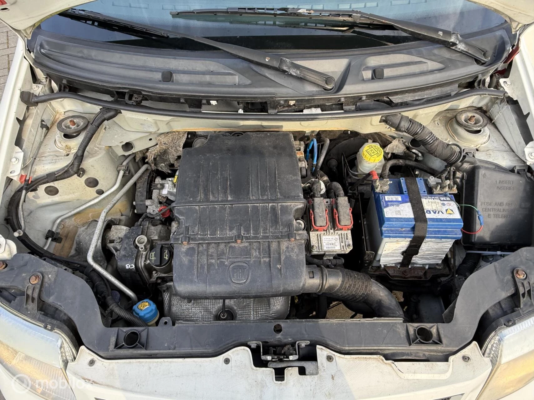 Hoofdafbeelding Fiat Panda