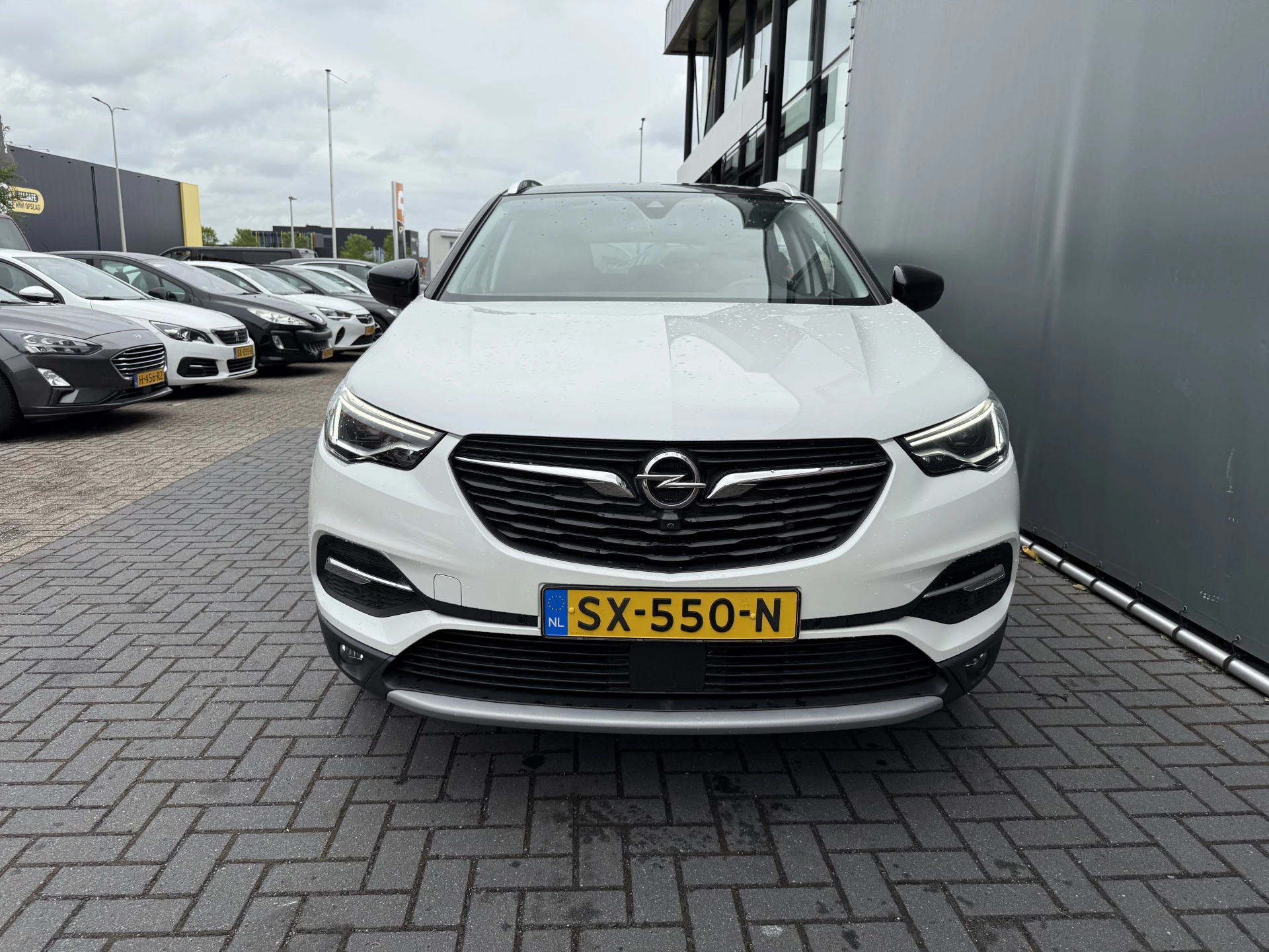Hoofdafbeelding Opel Grandland X