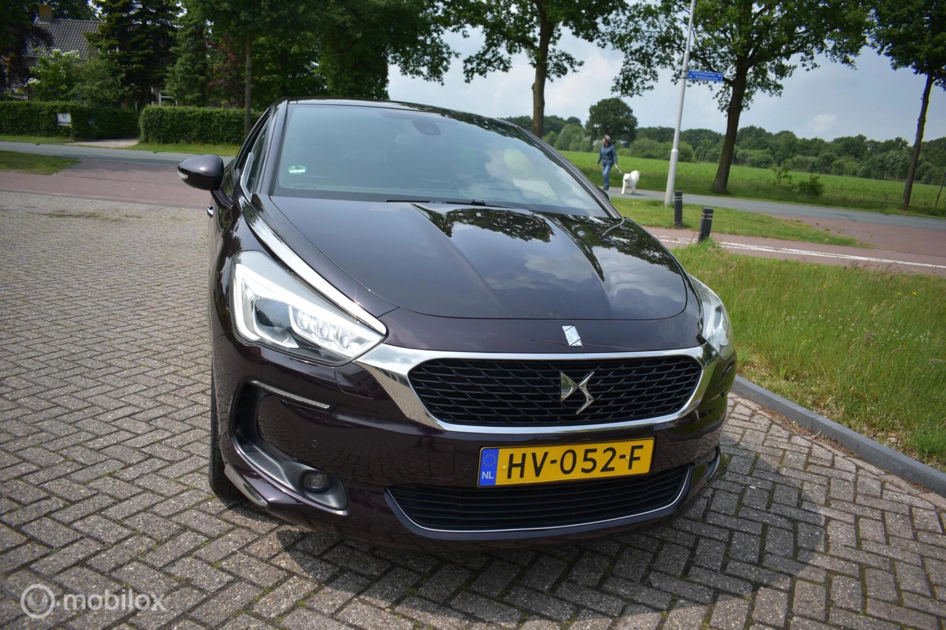 Hoofdafbeelding DS DS 5