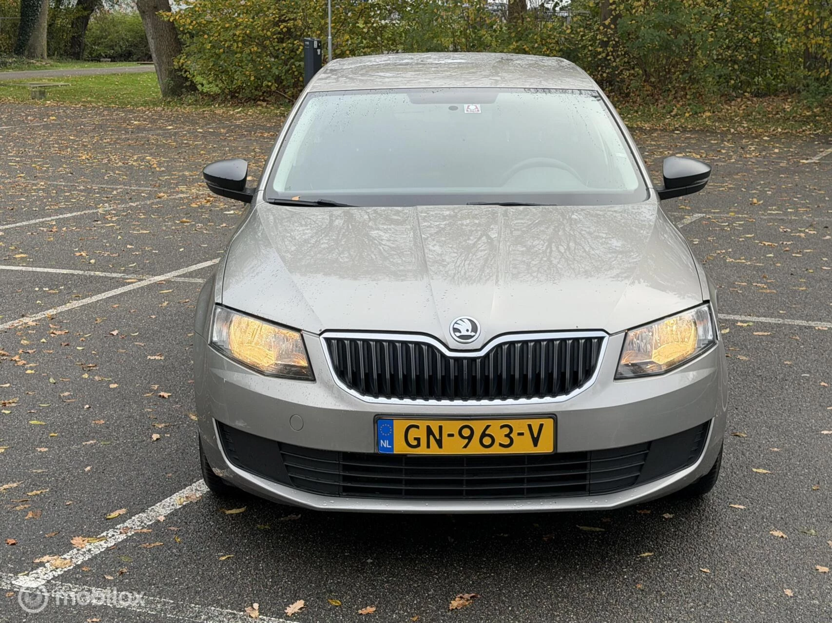 Hoofdafbeelding Škoda Octavia