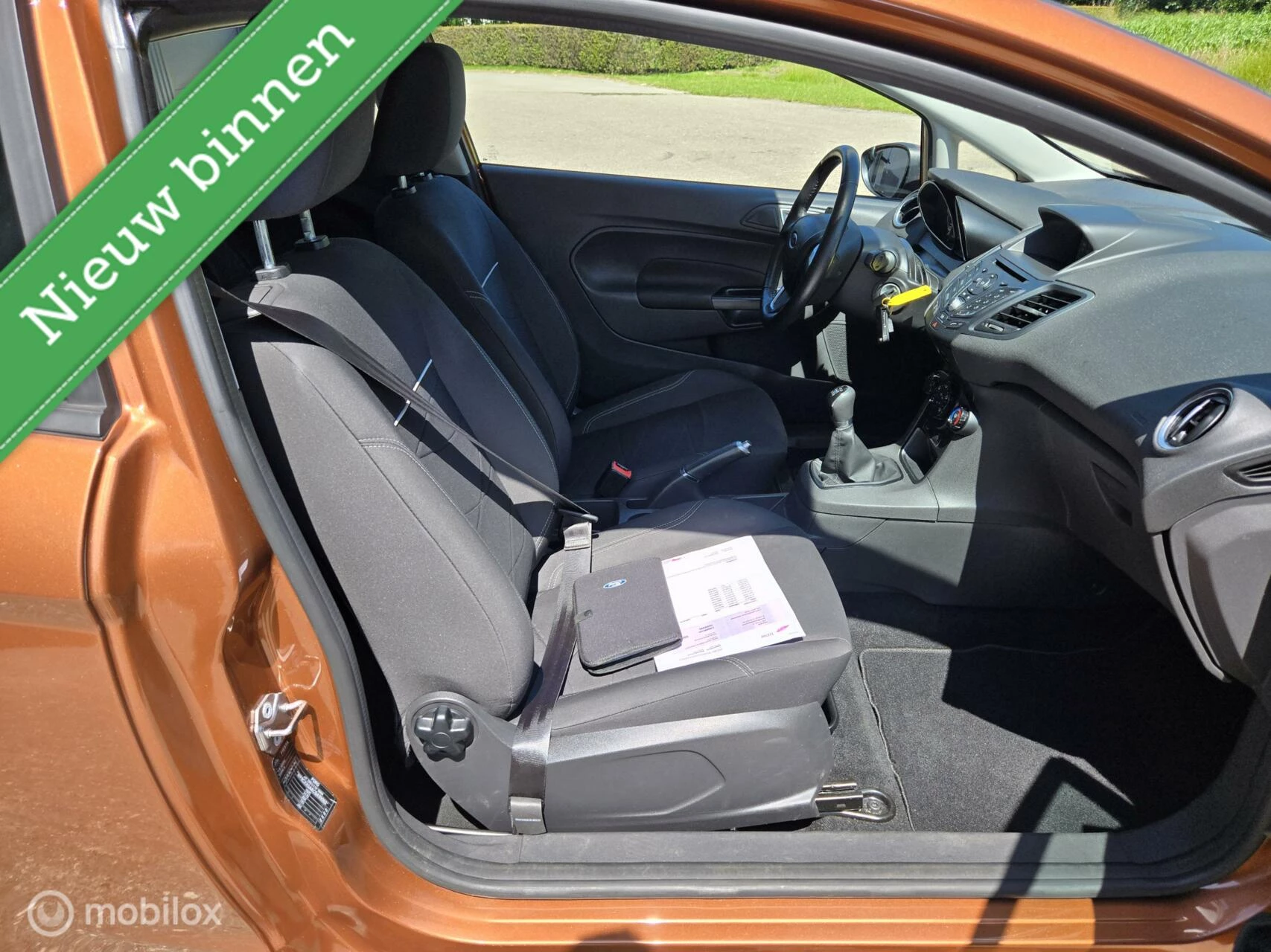Hoofdafbeelding Ford Fiesta