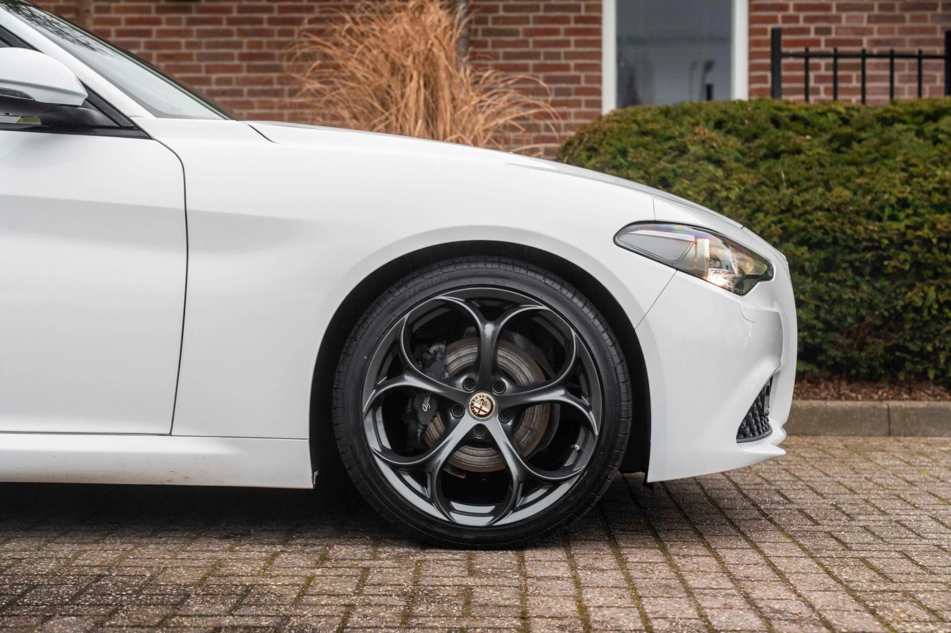 Hoofdafbeelding Alfa Romeo Giulia