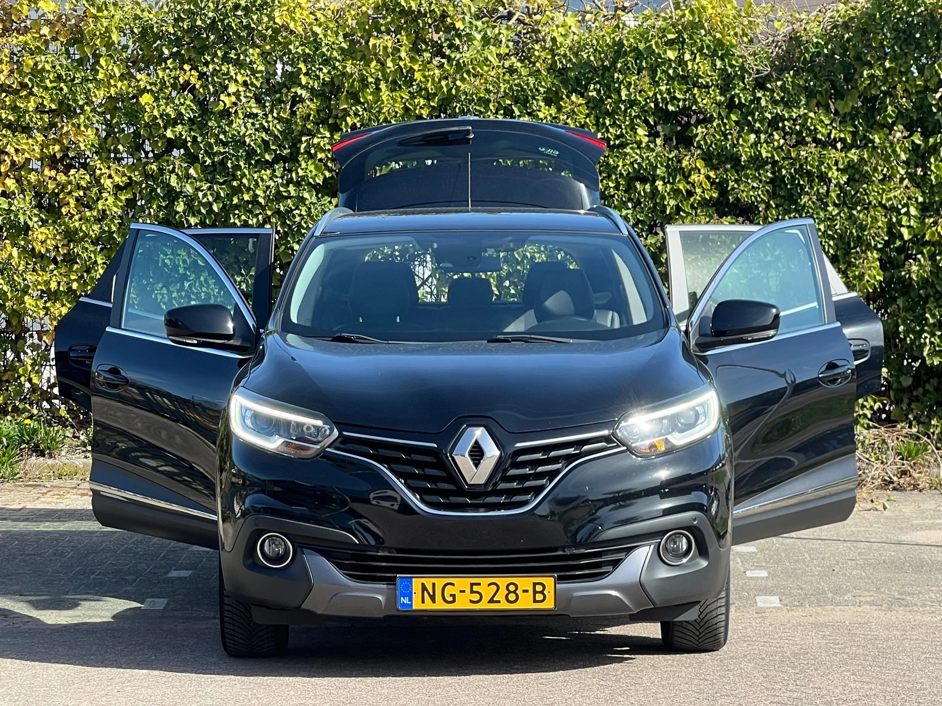 Hoofdafbeelding Renault Kadjar