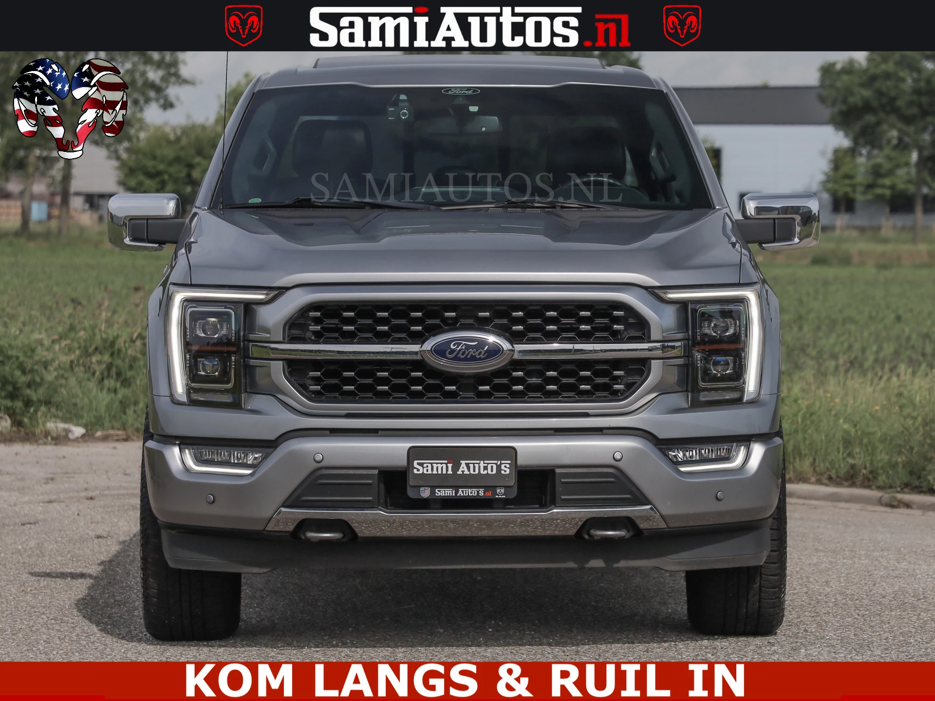 Hoofdafbeelding Ford F-150