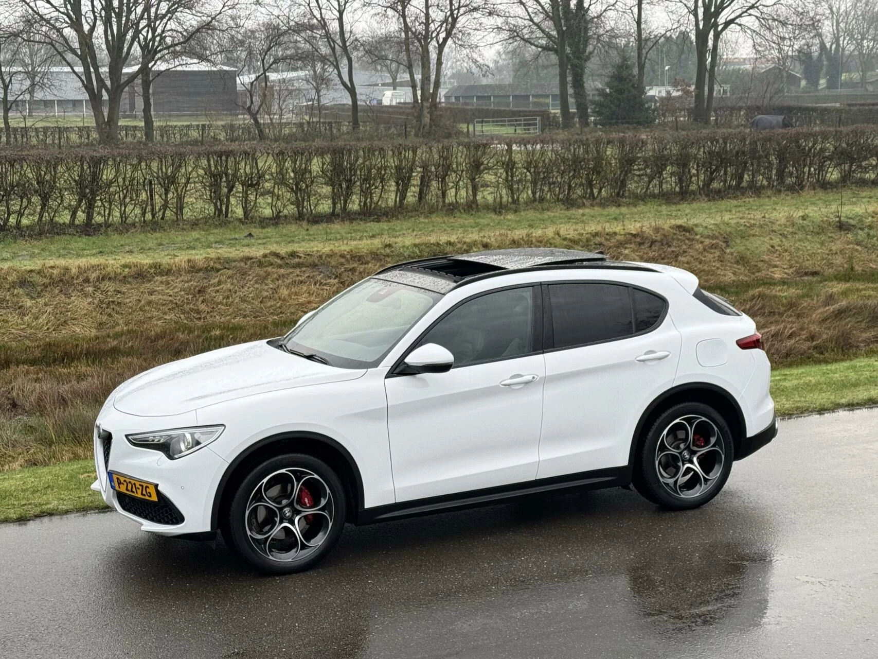 Hoofdafbeelding Alfa Romeo Stelvio