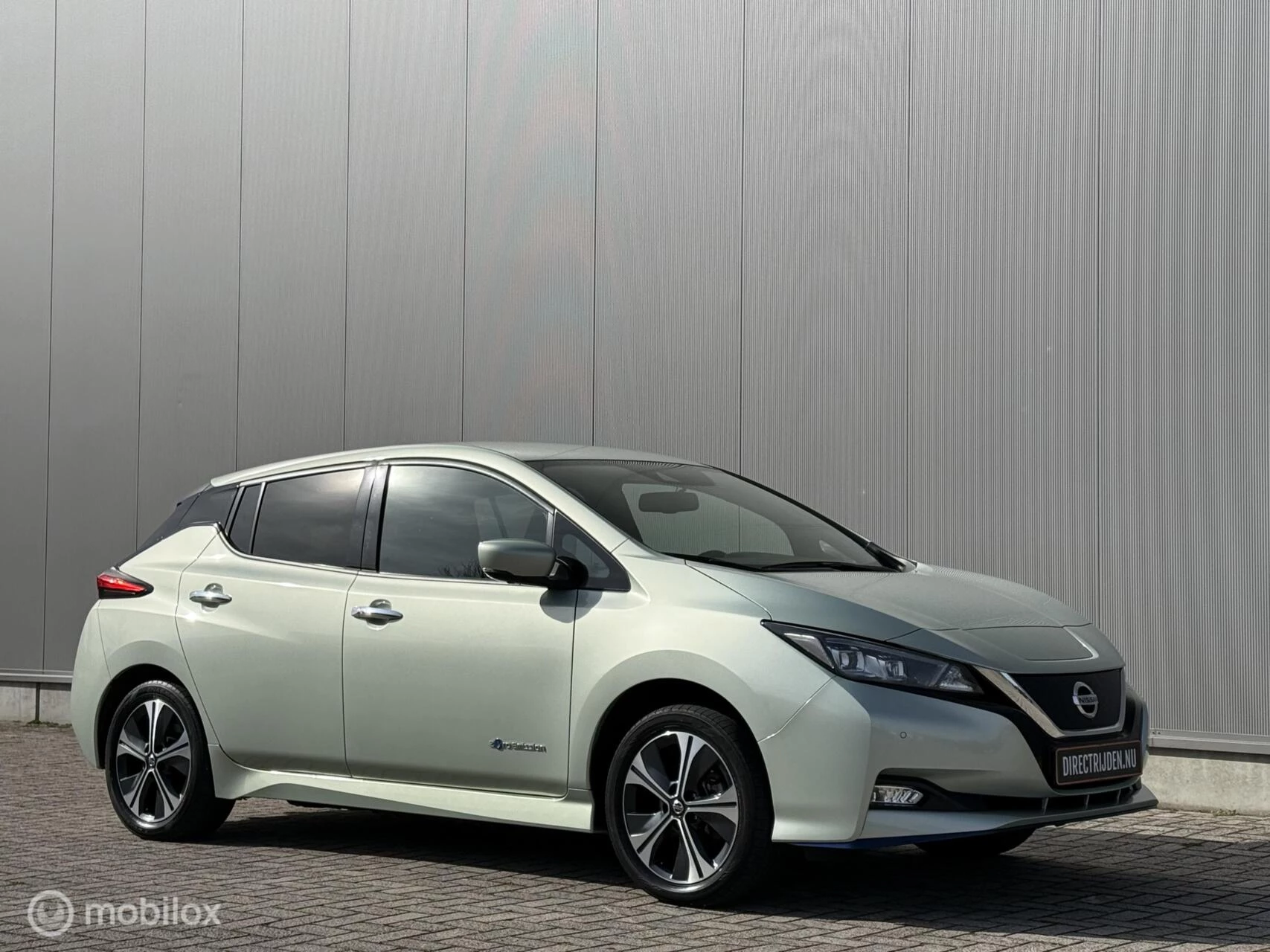 Hoofdafbeelding Nissan Leaf