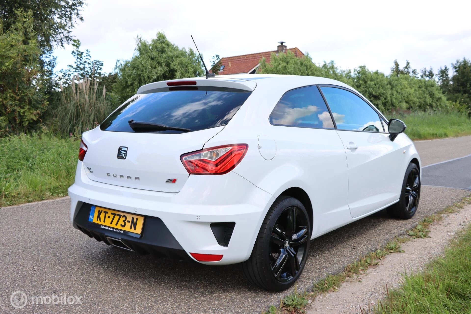 Hoofdafbeelding SEAT Ibiza