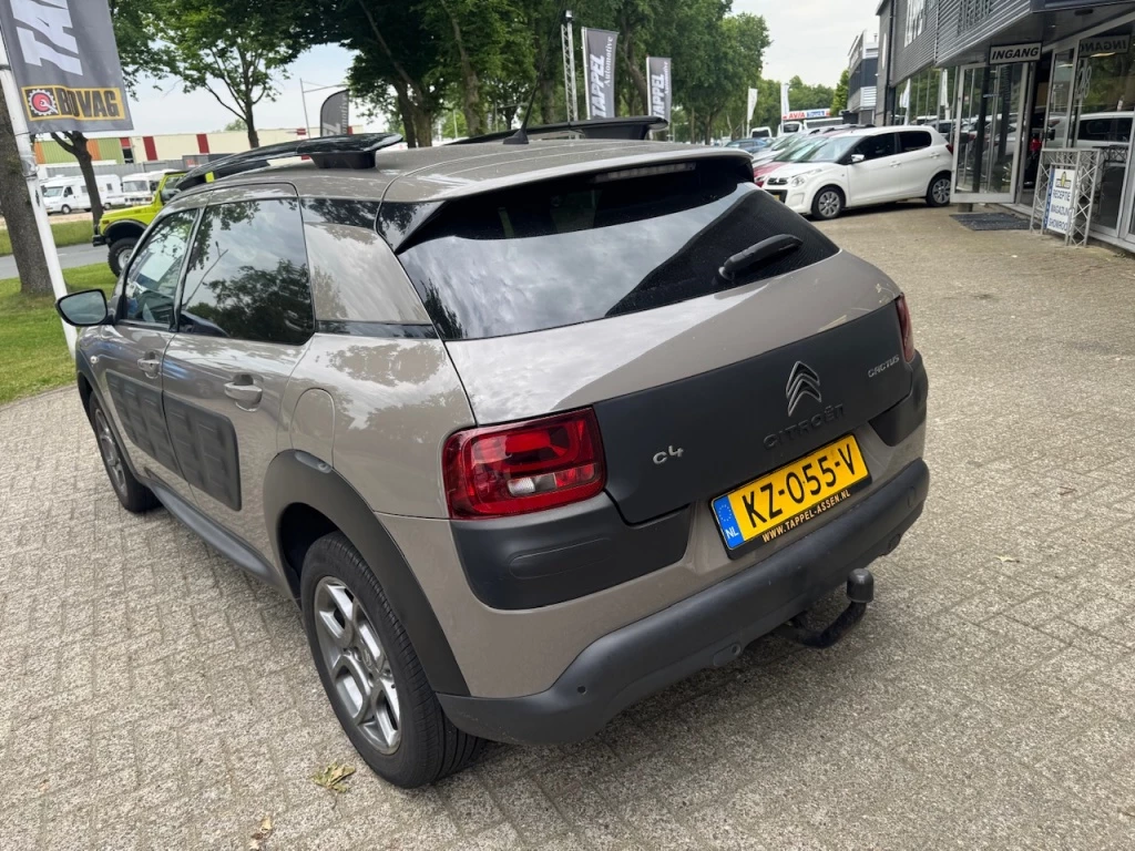 Hoofdafbeelding Citroën C4 Cactus