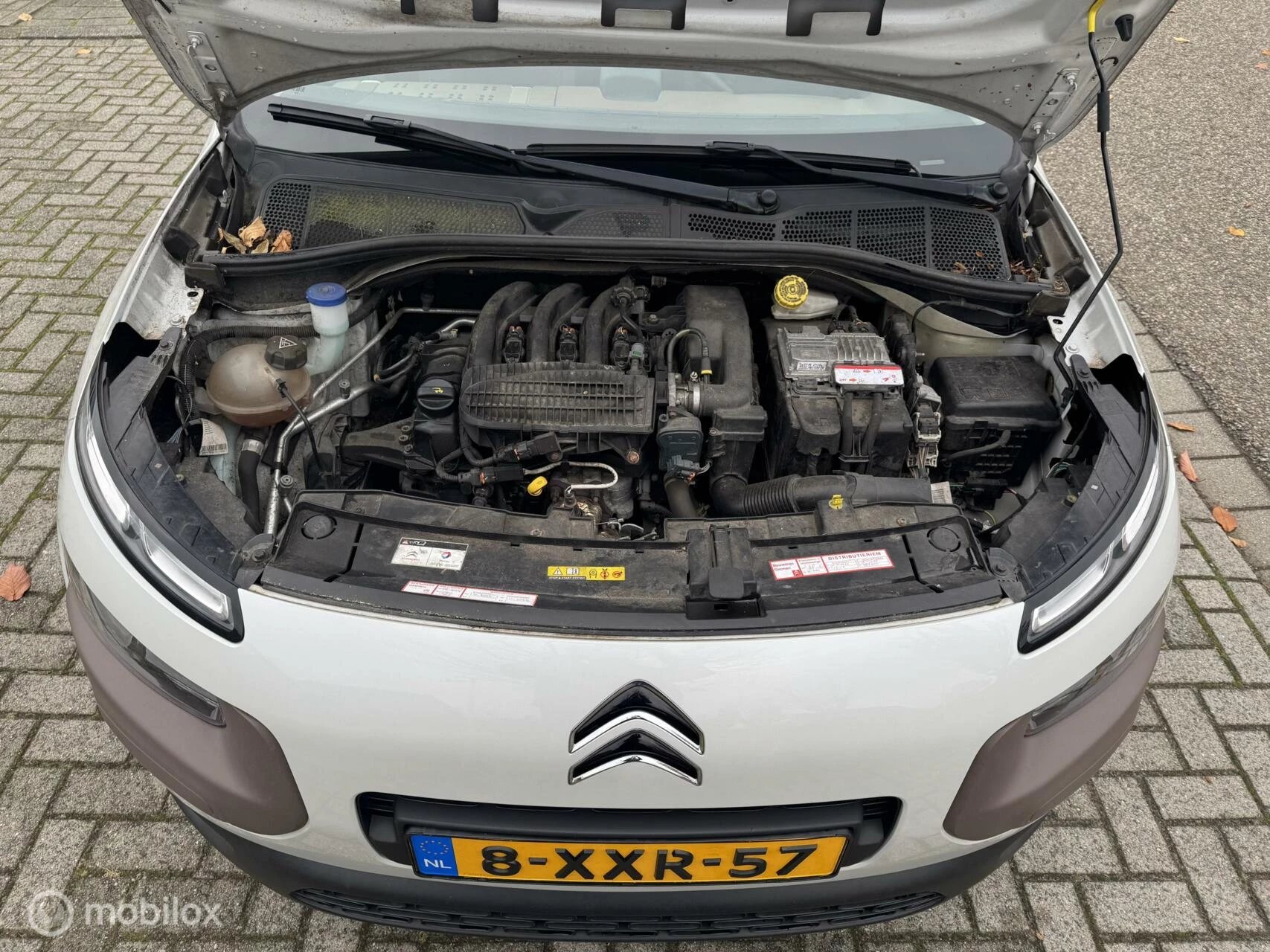 Hoofdafbeelding Citroën C4 Cactus