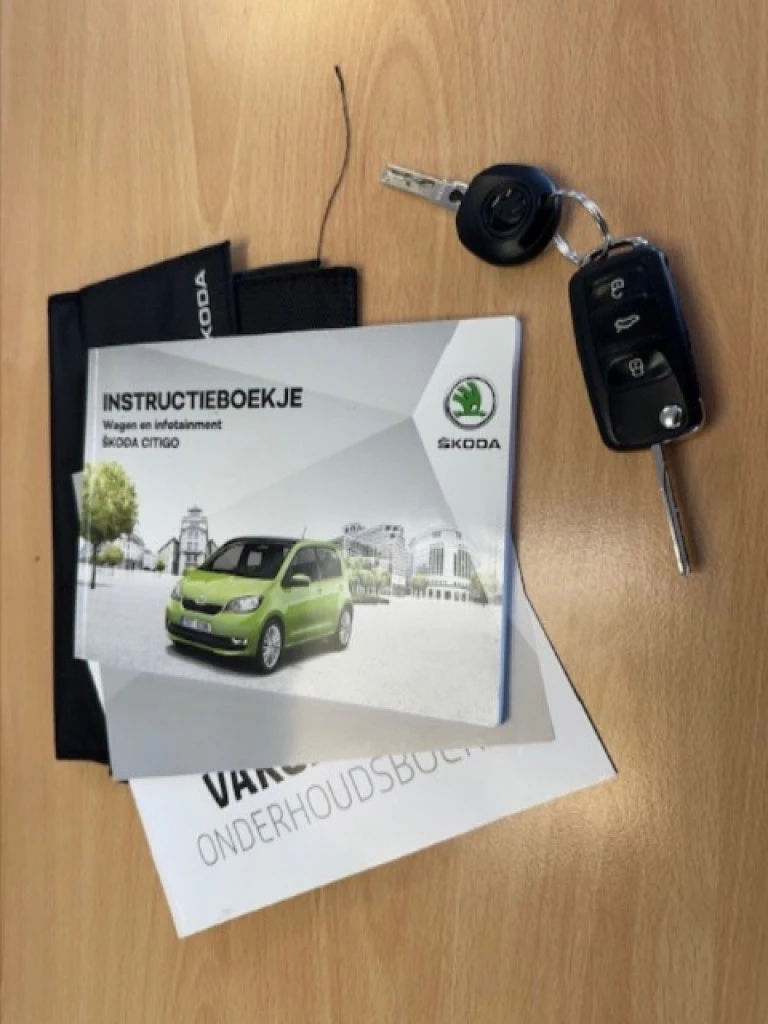 Hoofdafbeelding Škoda Citigo
