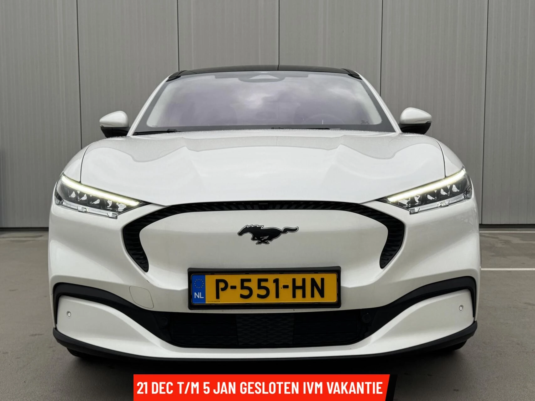 Hoofdafbeelding Ford Mustang Mach-E