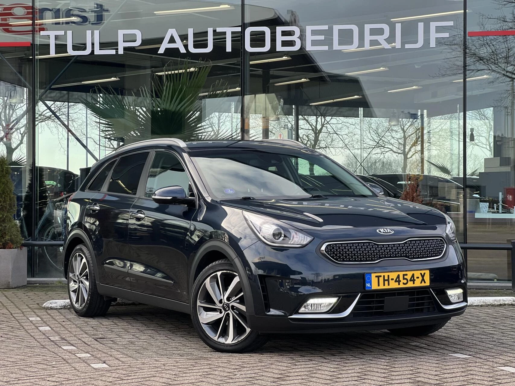 Hoofdafbeelding Kia Niro