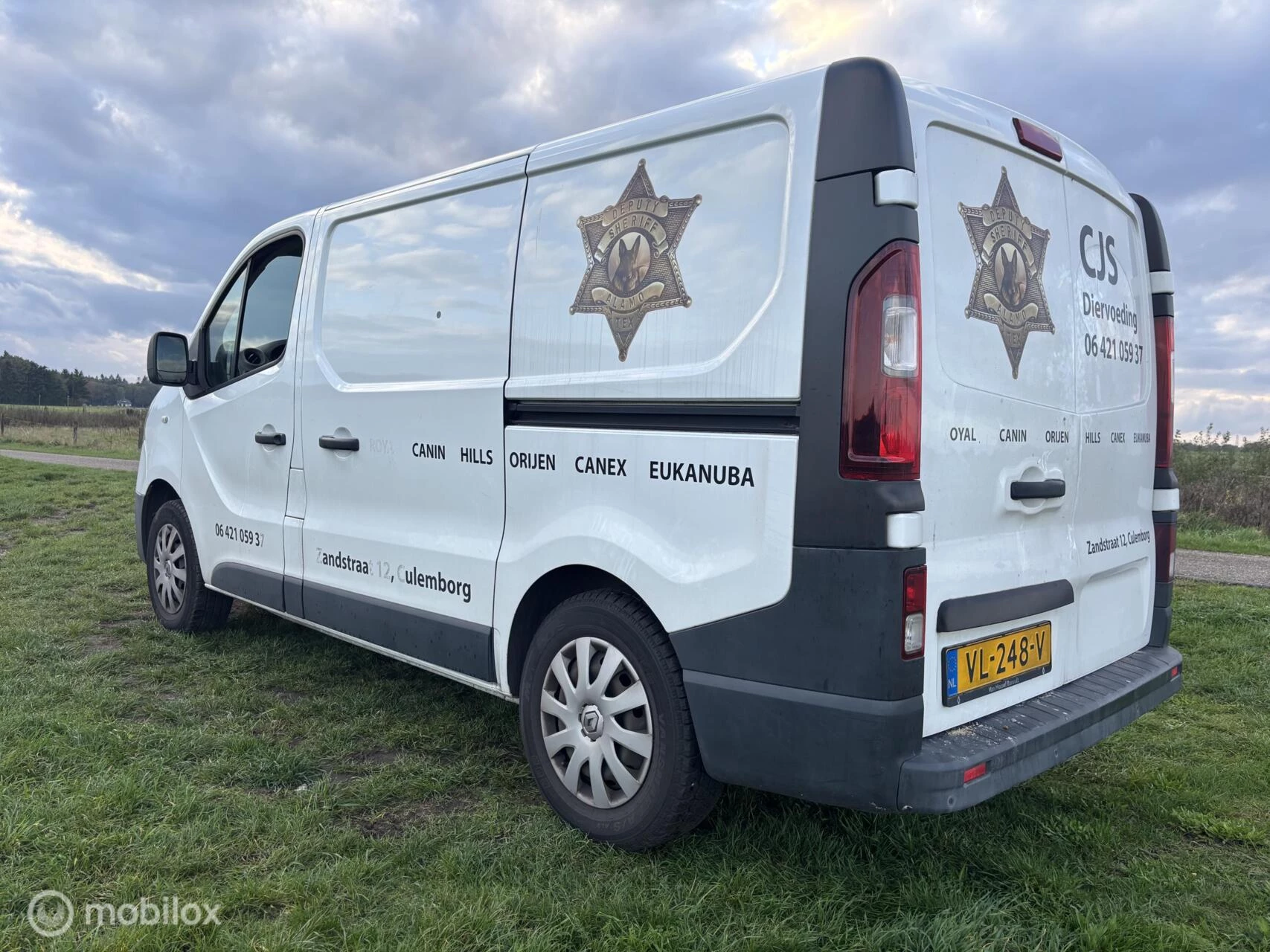 Hoofdafbeelding Renault Trafic