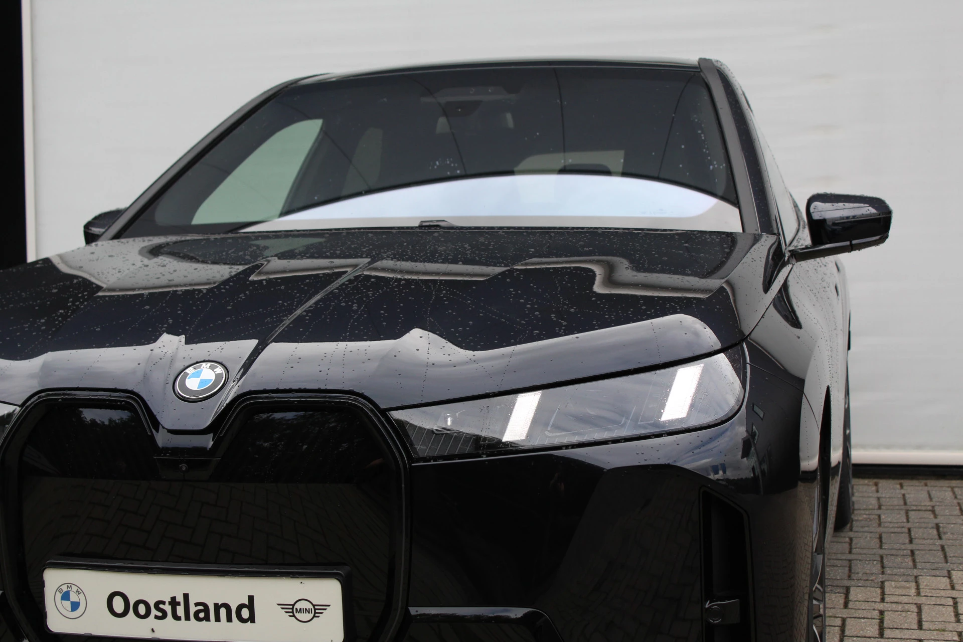 Hoofdafbeelding BMW iX