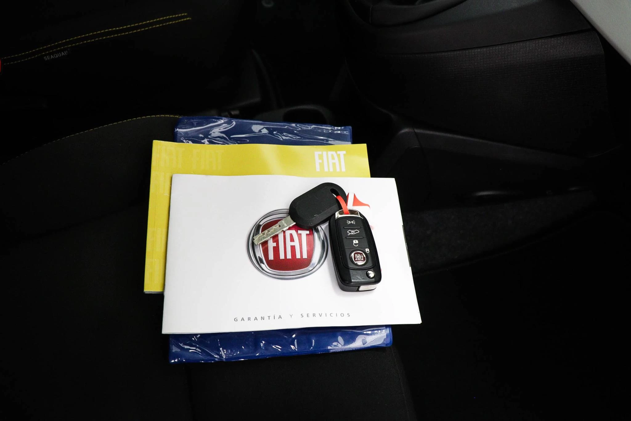 Hoofdafbeelding Fiat Pandina